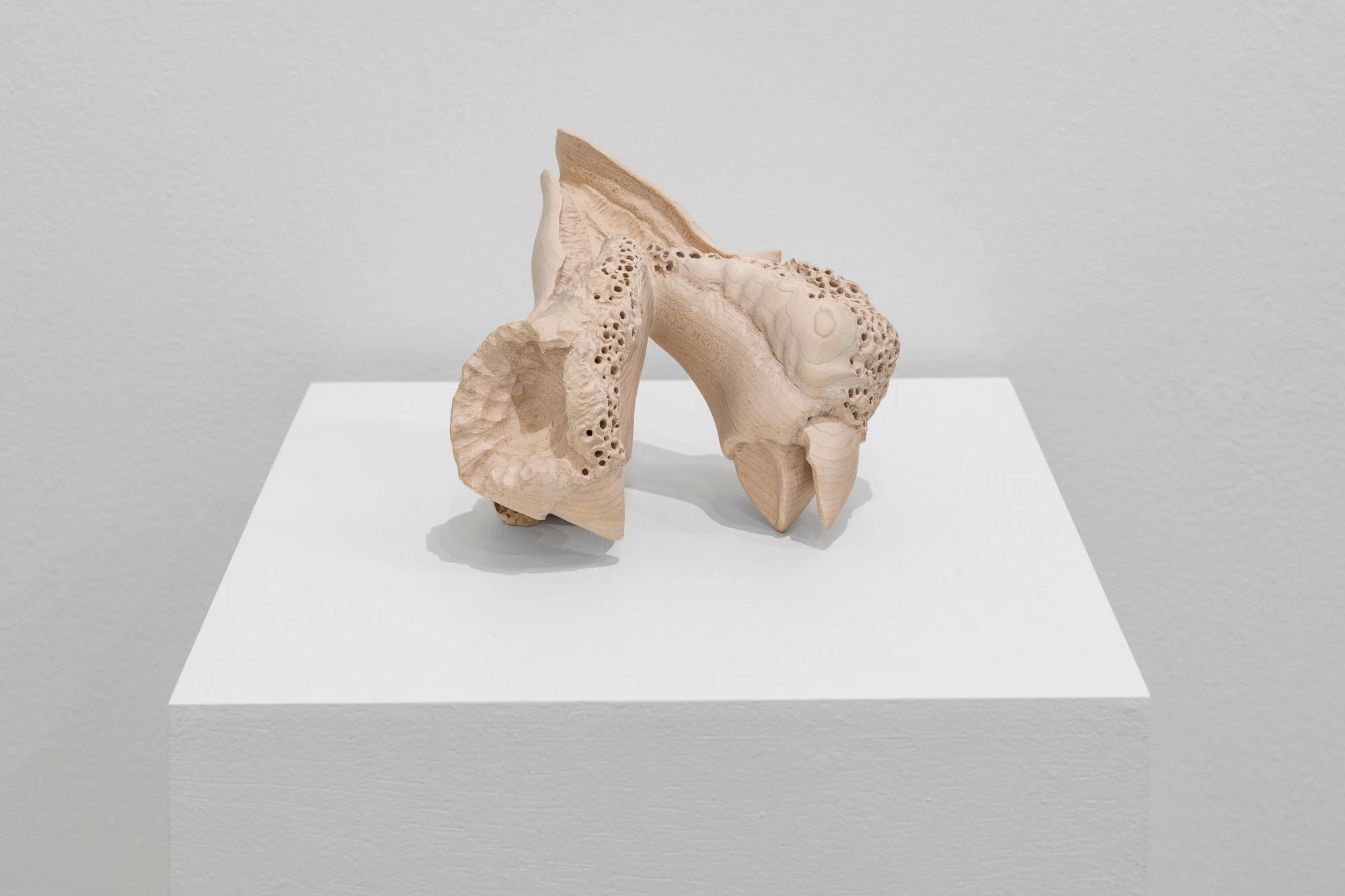 Affinity, 2026, exhibition installation view