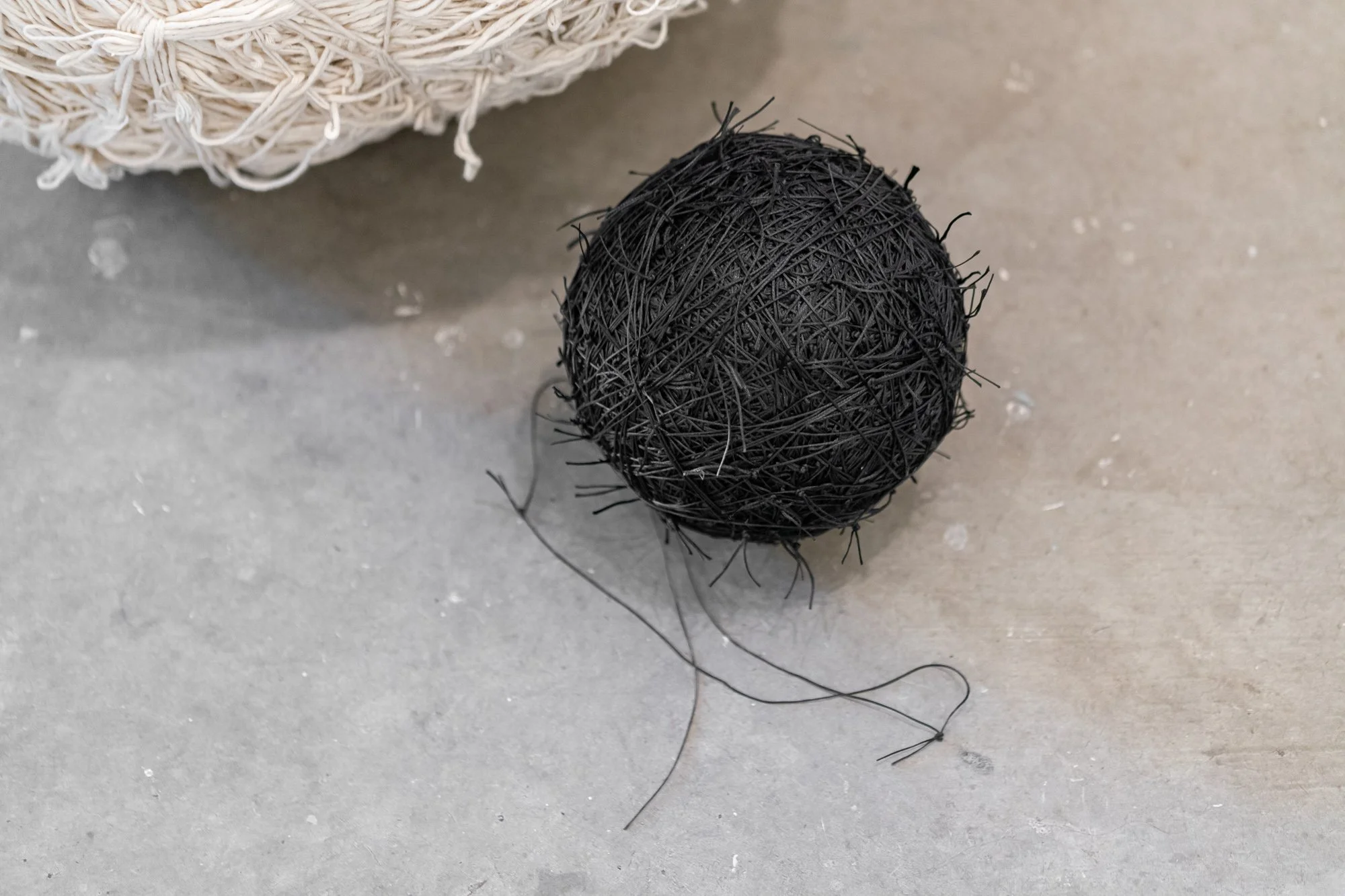 Born REMEMBERING, 2026, exhibition installation view