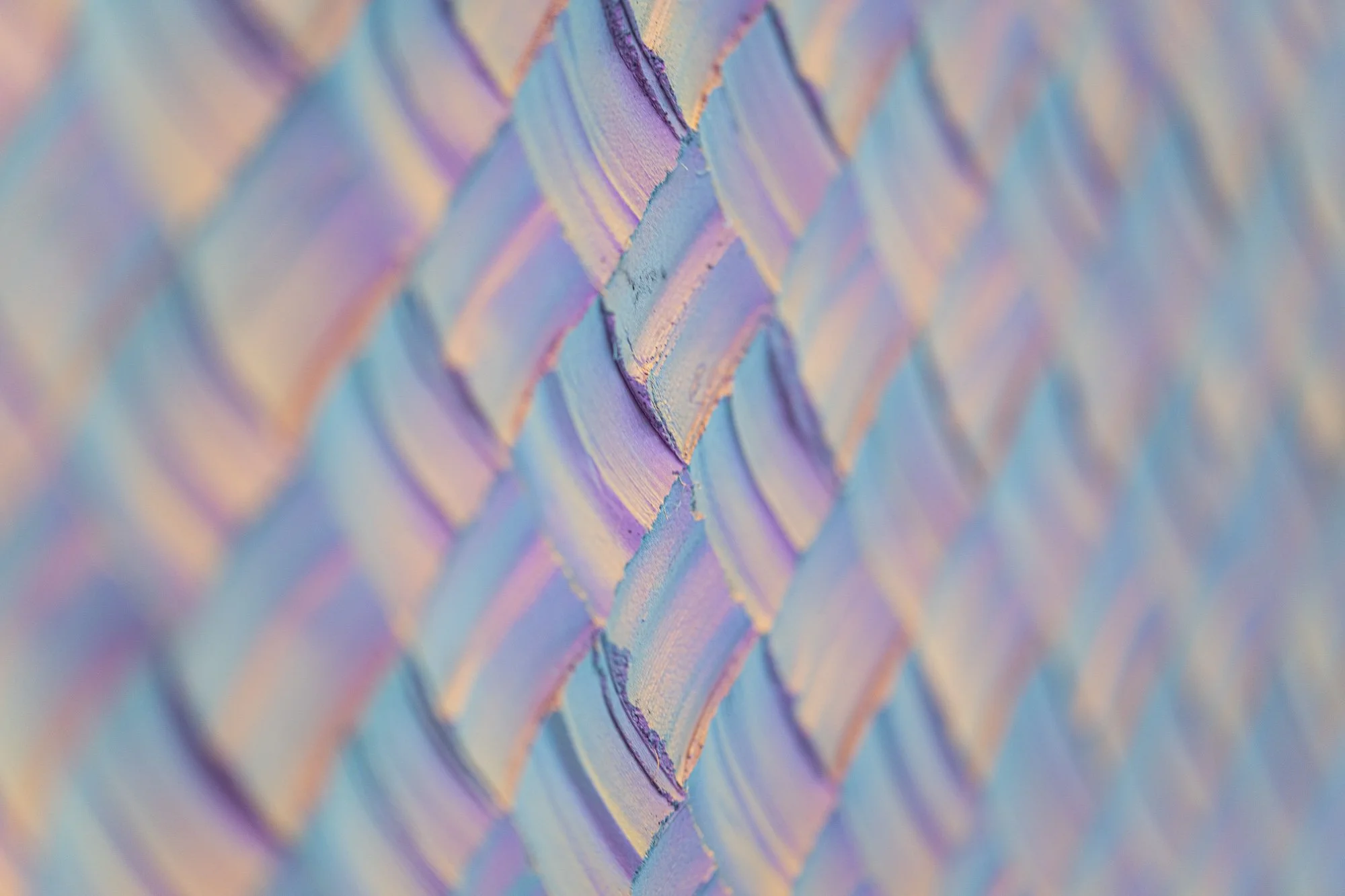 Domestic Topographies, 2026, exhibition installation view