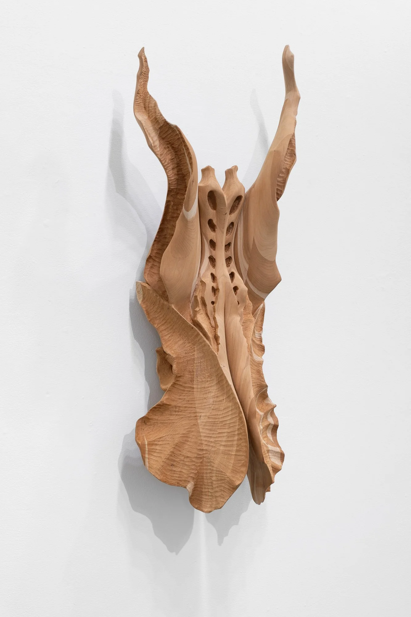 Affinity, 2026, exhibition installation view