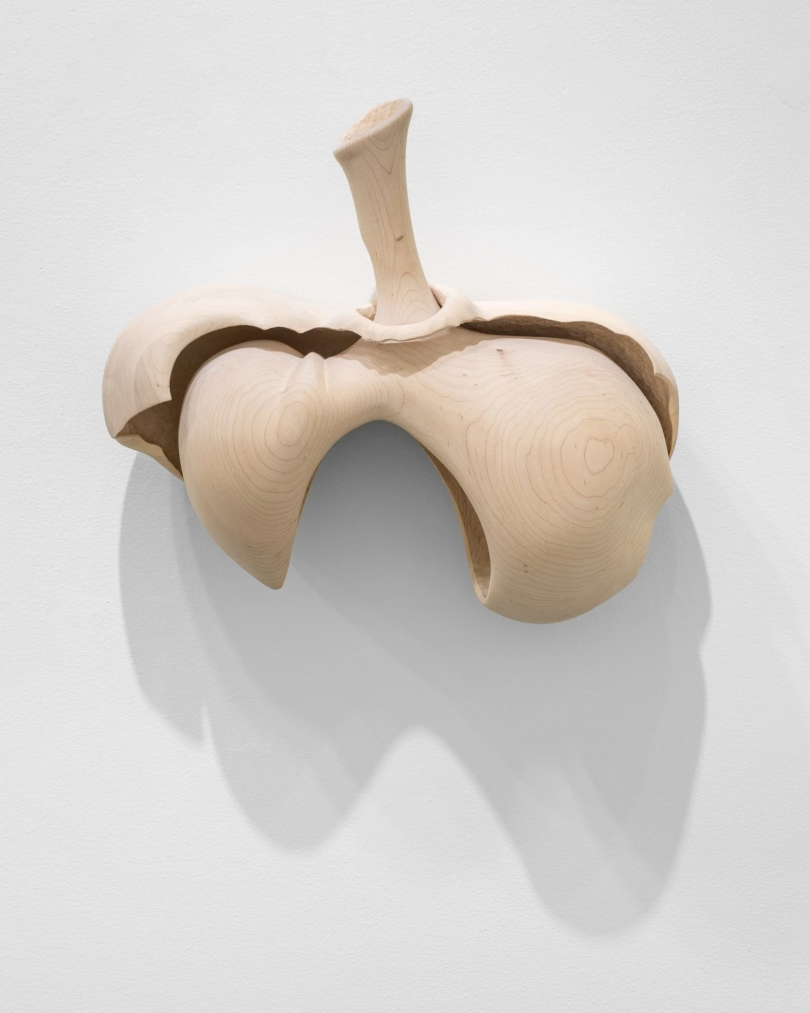 Affinity, 2026, exhibition installation view