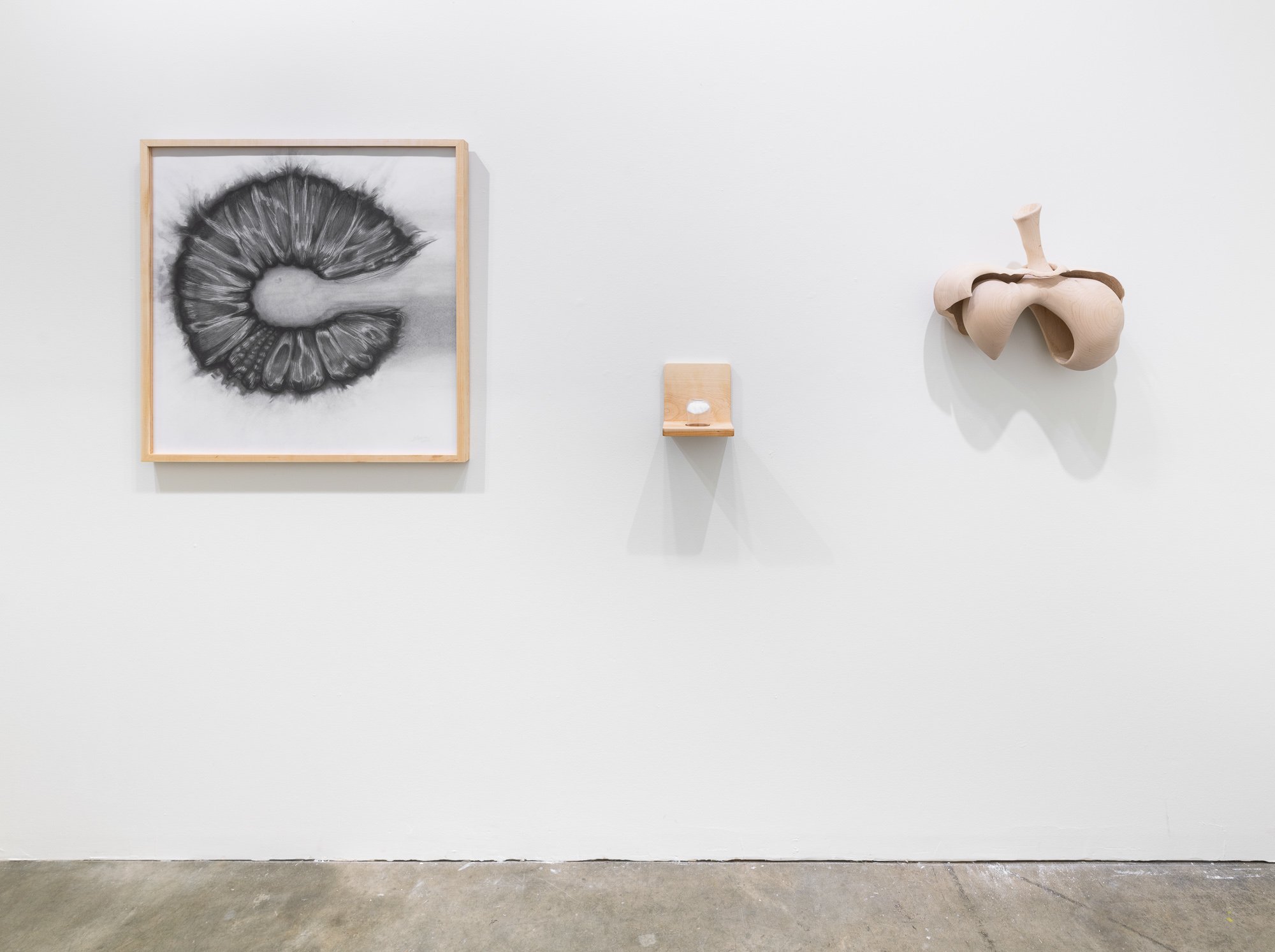 Affinity, 2026, exhibition installation view