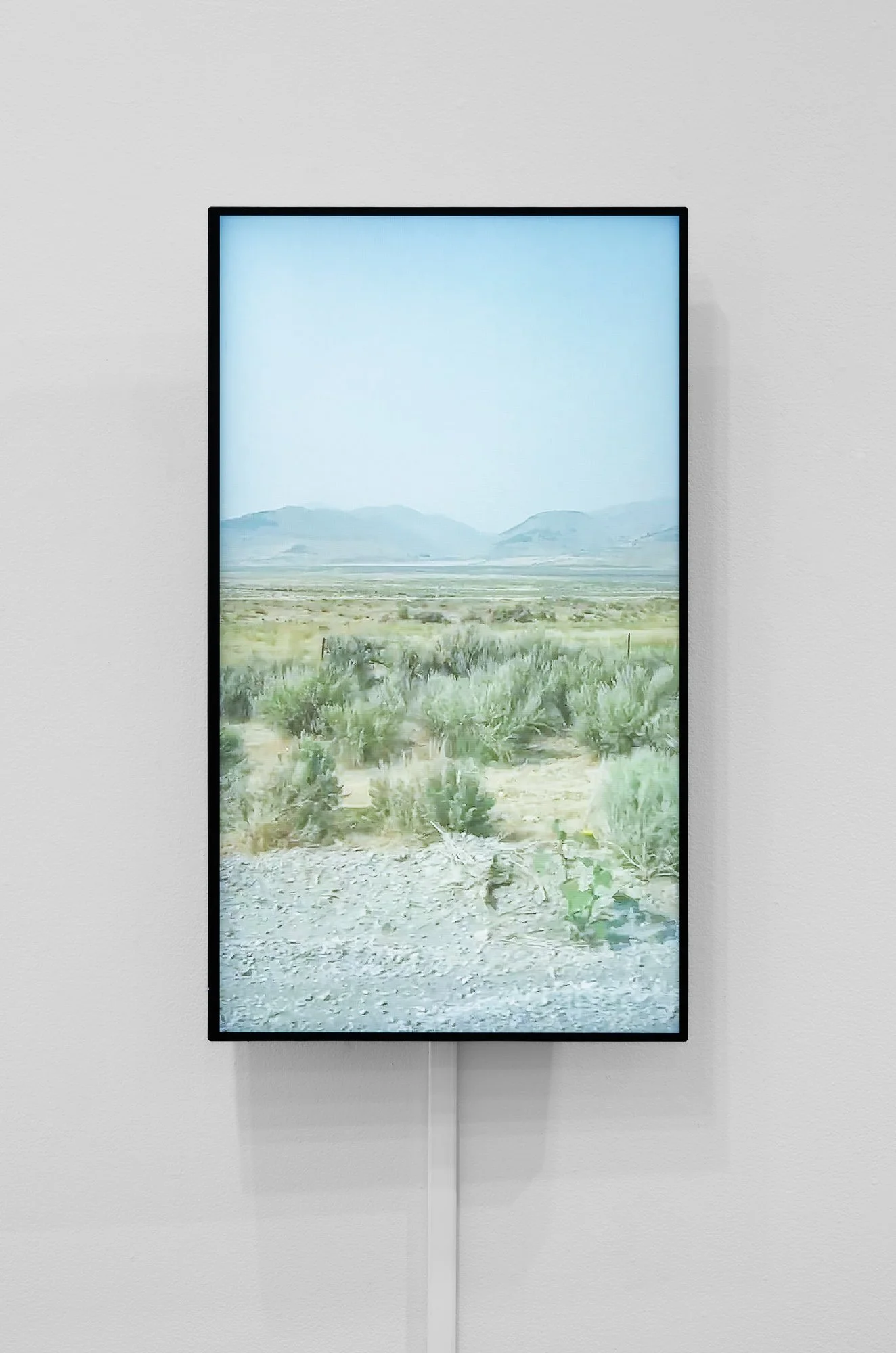 Might As Well Well, 2026, exhibition installation view