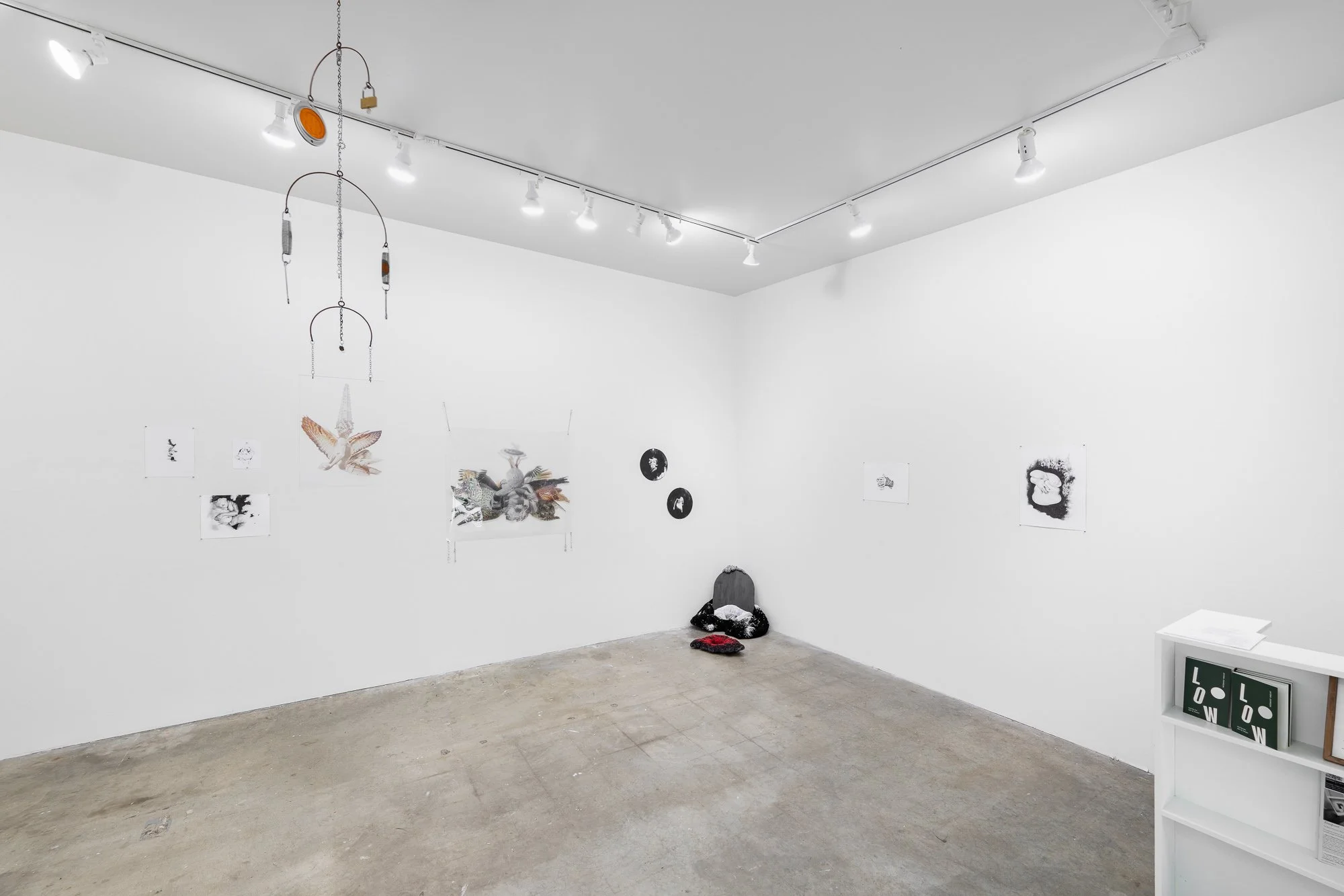 Terroir, 2026, exhibition installation view