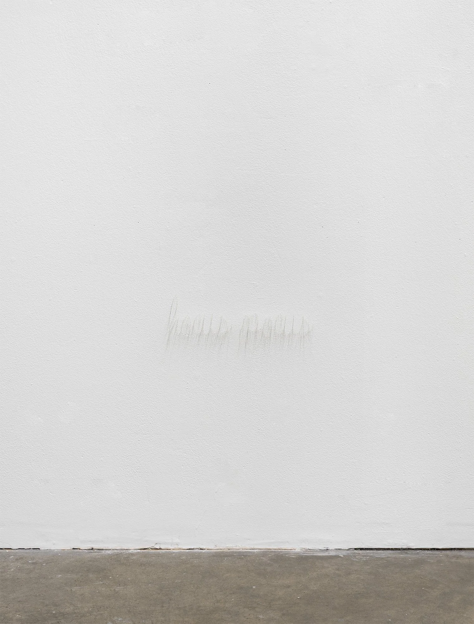 ₍^. .^₎⟆ ~&~ /|\ ^._.^ /|\, 2025, exhibition installation view