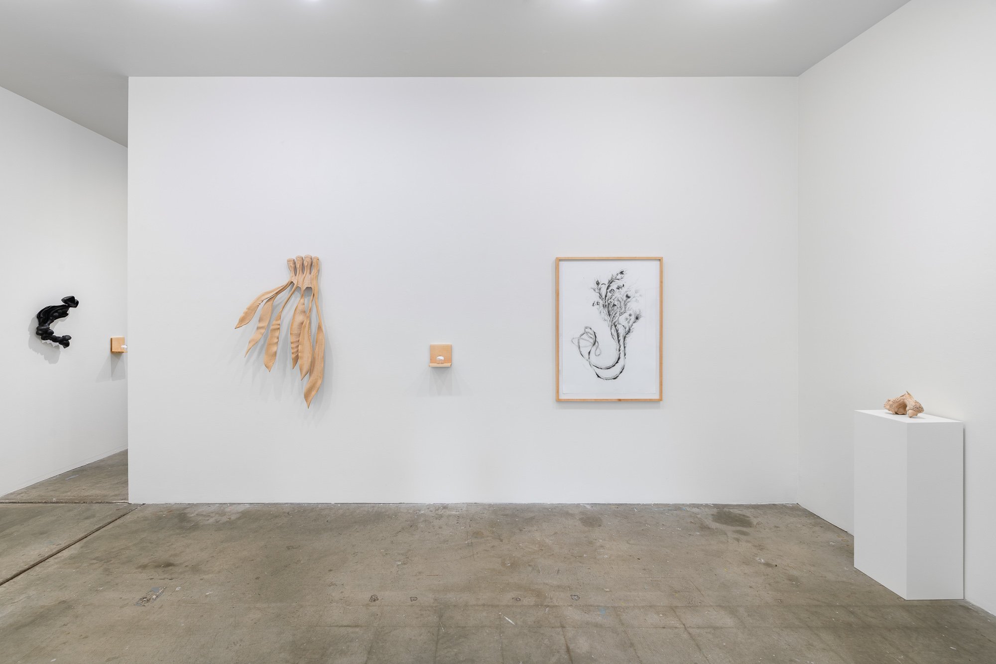 Affinity, 2026, exhibition installation view