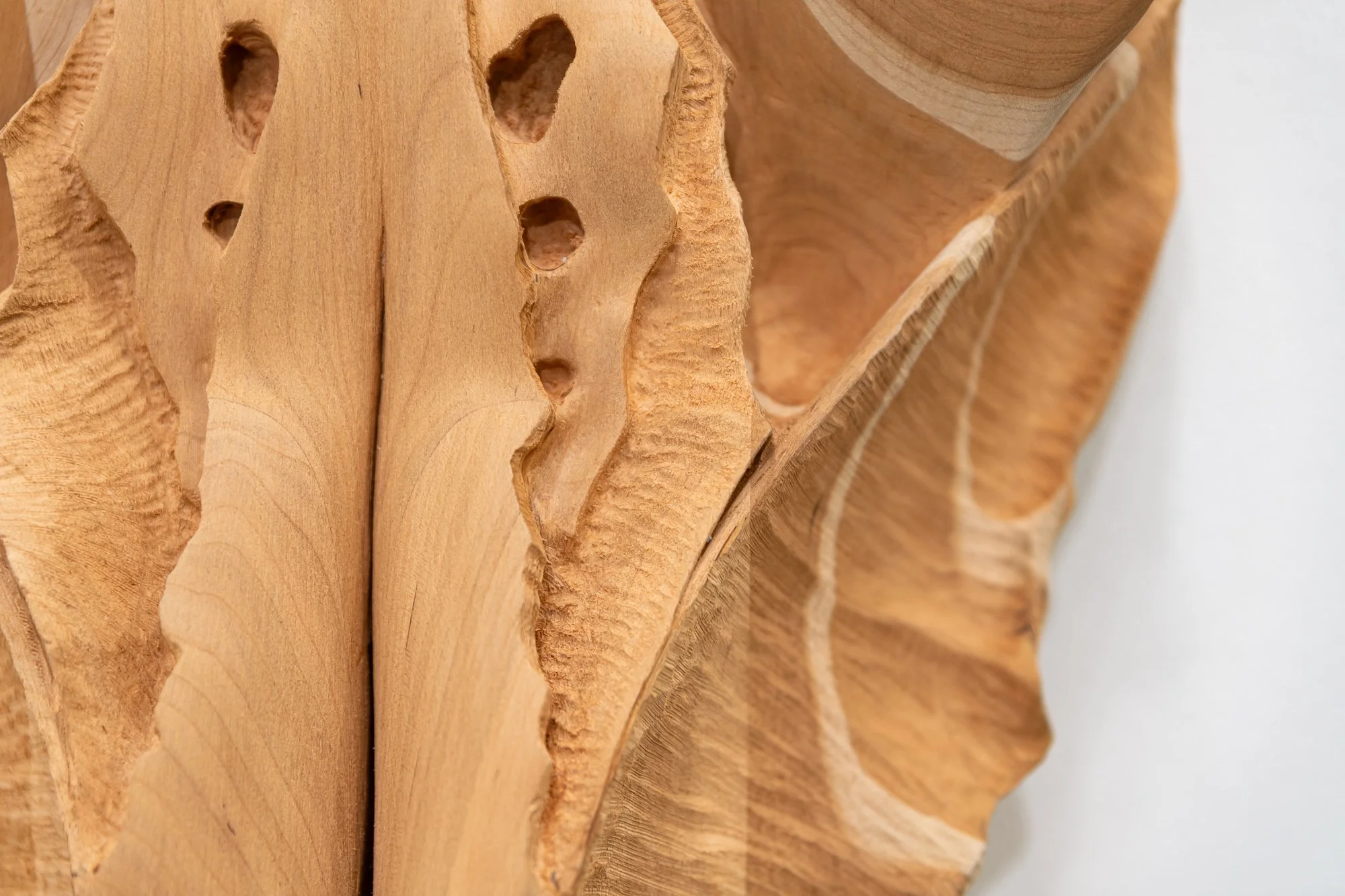 Affinity, 2026, exhibition installation view