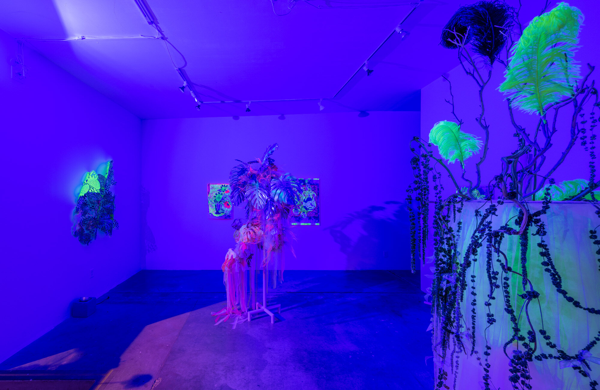 Color Burn, 2021, exhibition installation view
