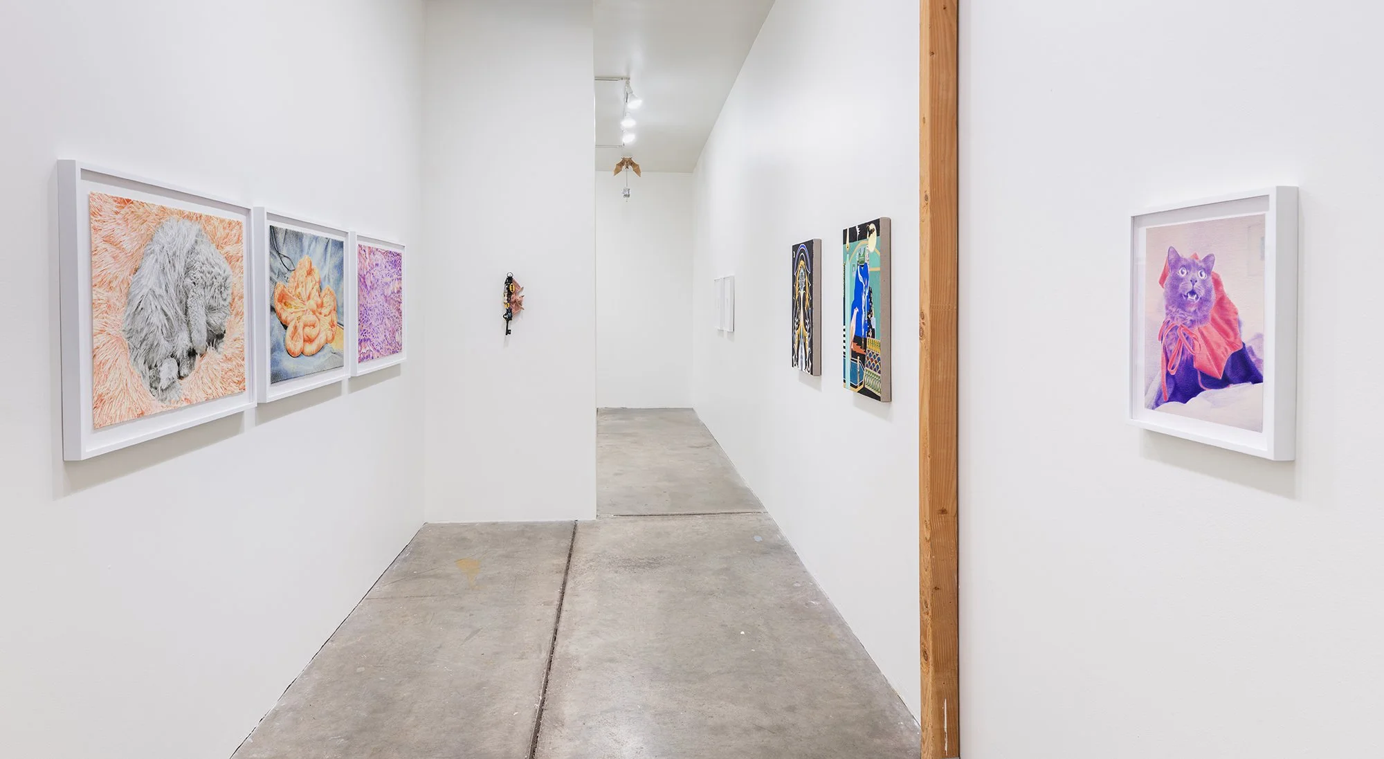 ₍^. .^₎⟆ ~&~ /|\ ^._.^ /|\, 2025, exhibition installation view