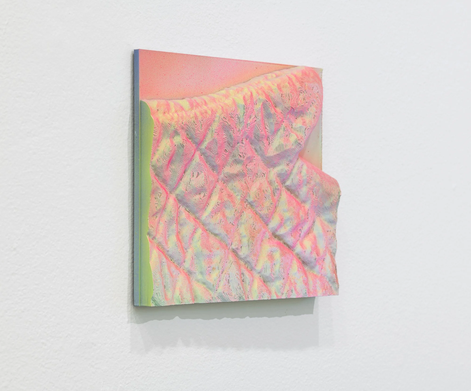 Domestic Topographies, 2026, exhibition installation view