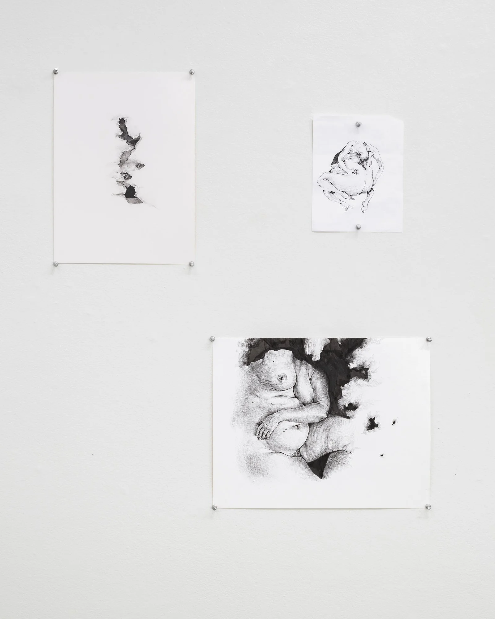 Terroir, 2026, exhibition installation view
