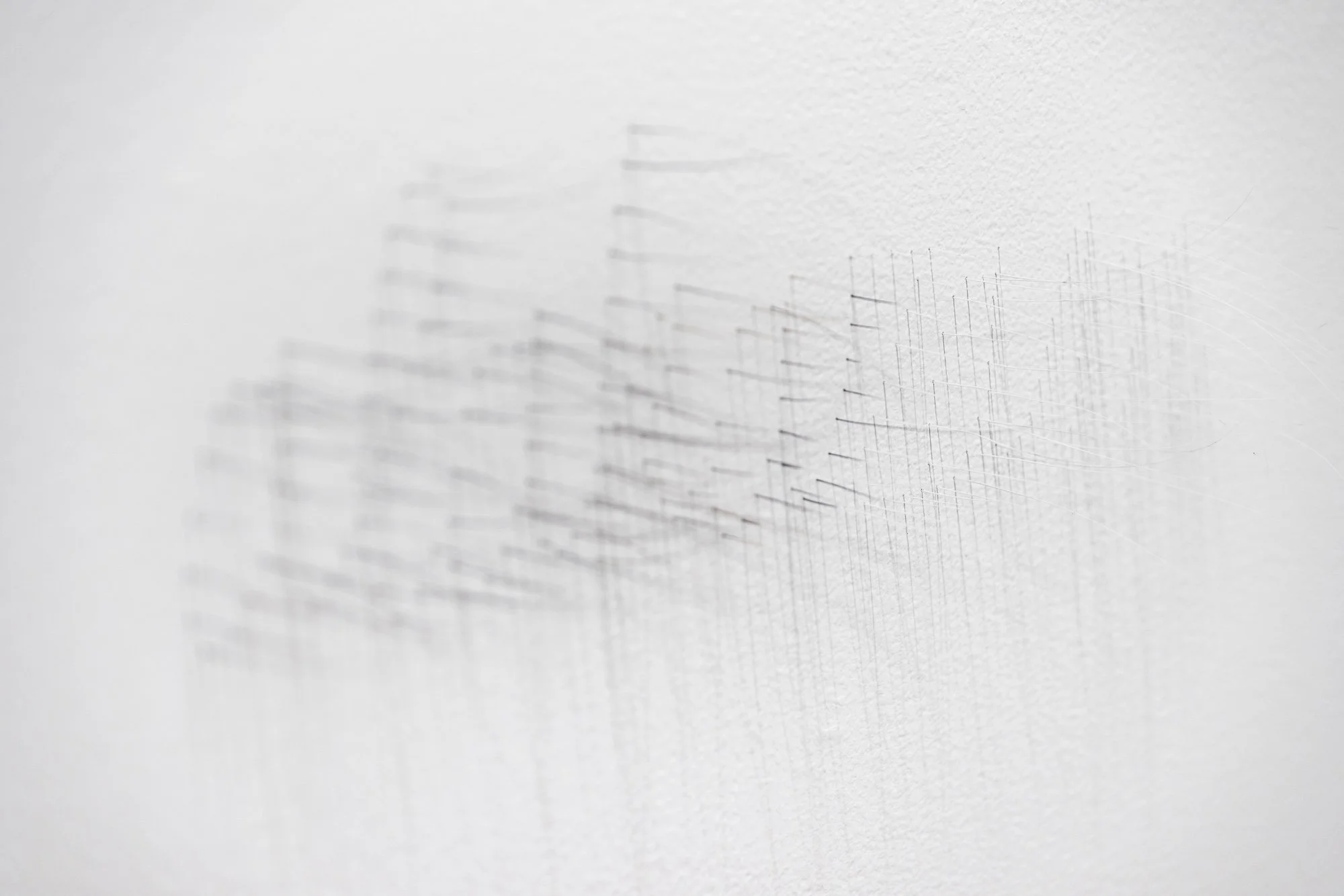 ₍^. .^₎⟆ ~&~ /|\ ^._.^ /|\, 2025, exhibition installation view