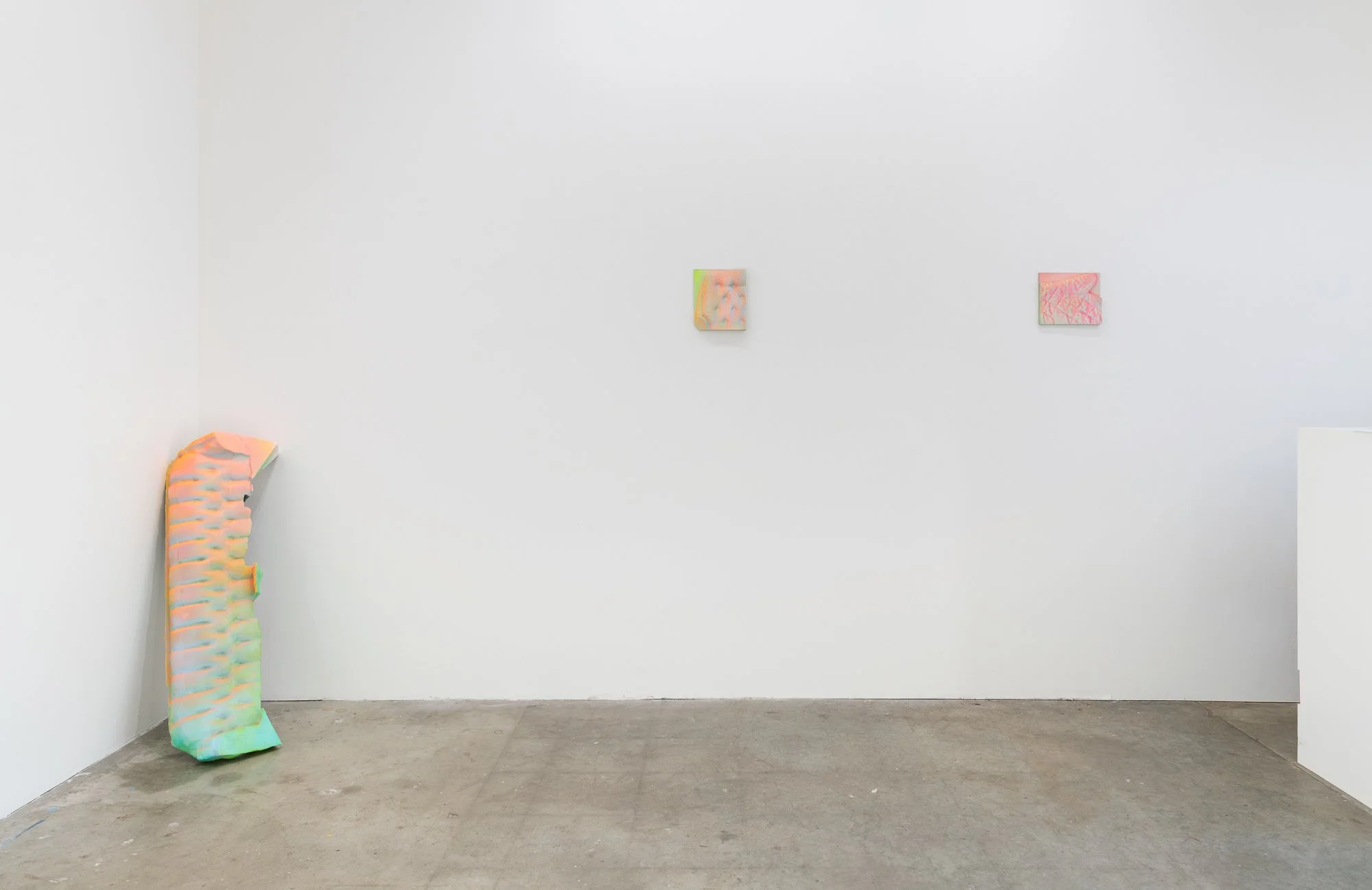 Domestic Topographies, 2026, exhibition installation view