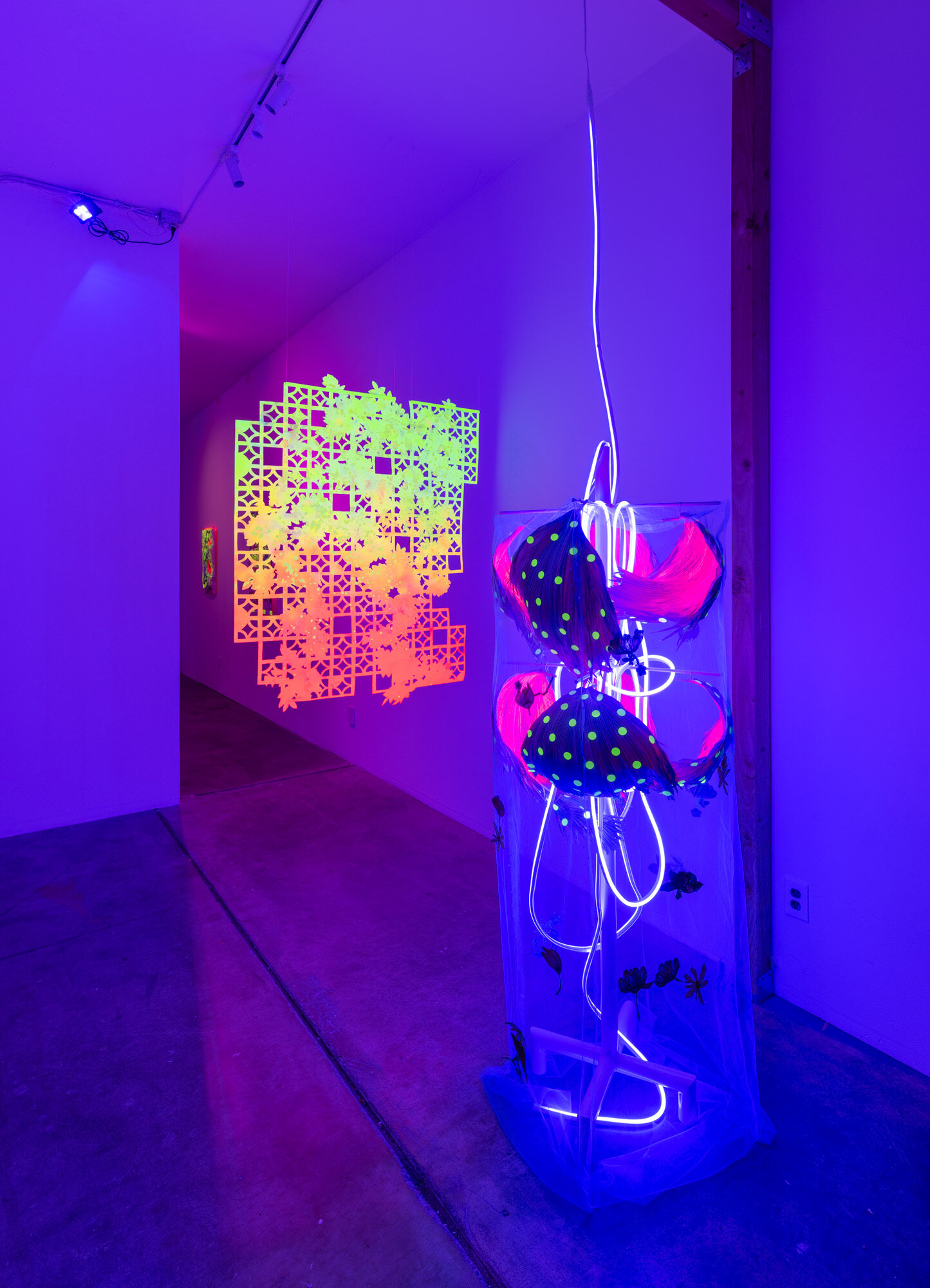 Color Burn, 2021, exhibition installation view