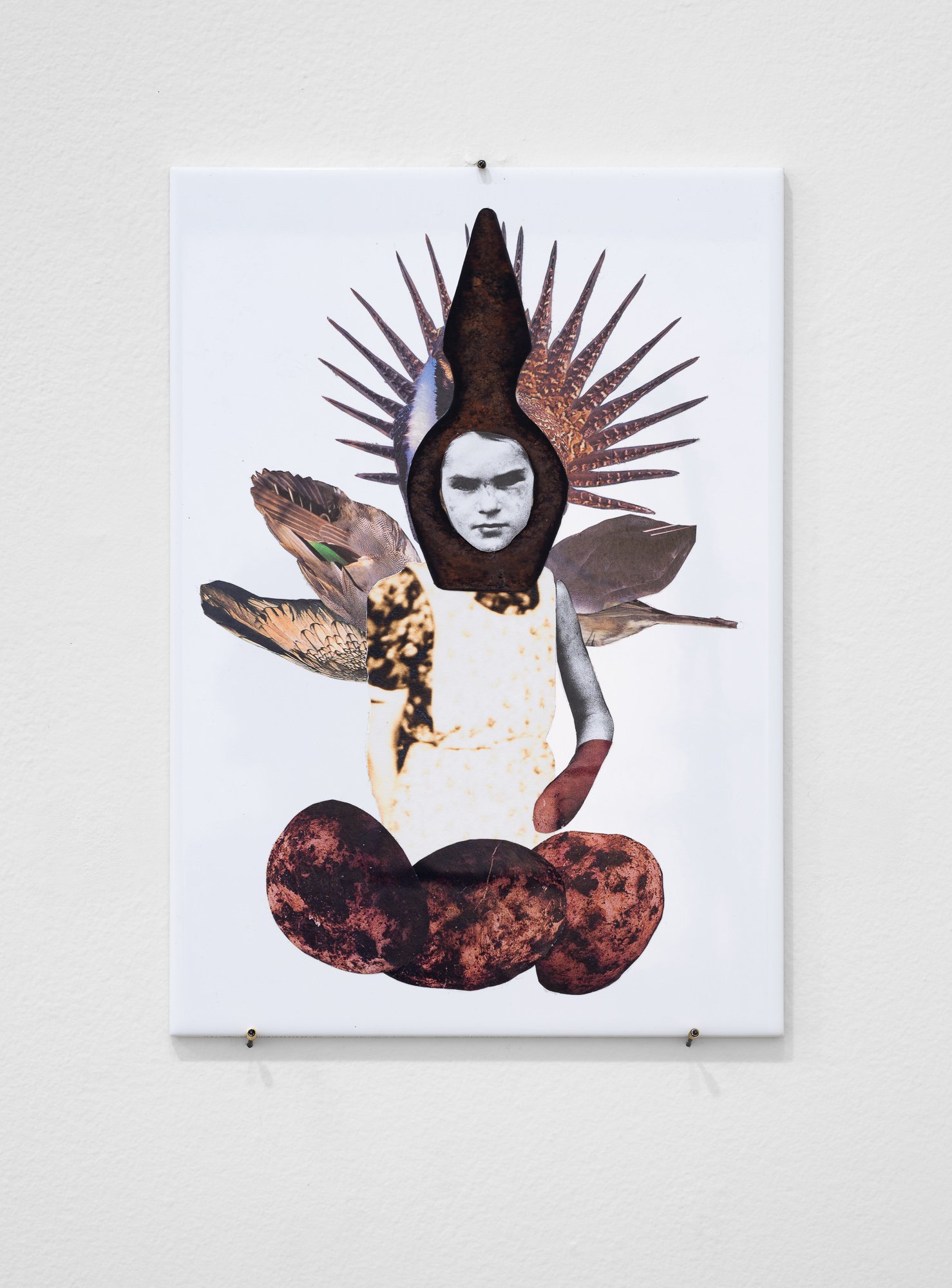 Terroir, 2026, exhibition installation view