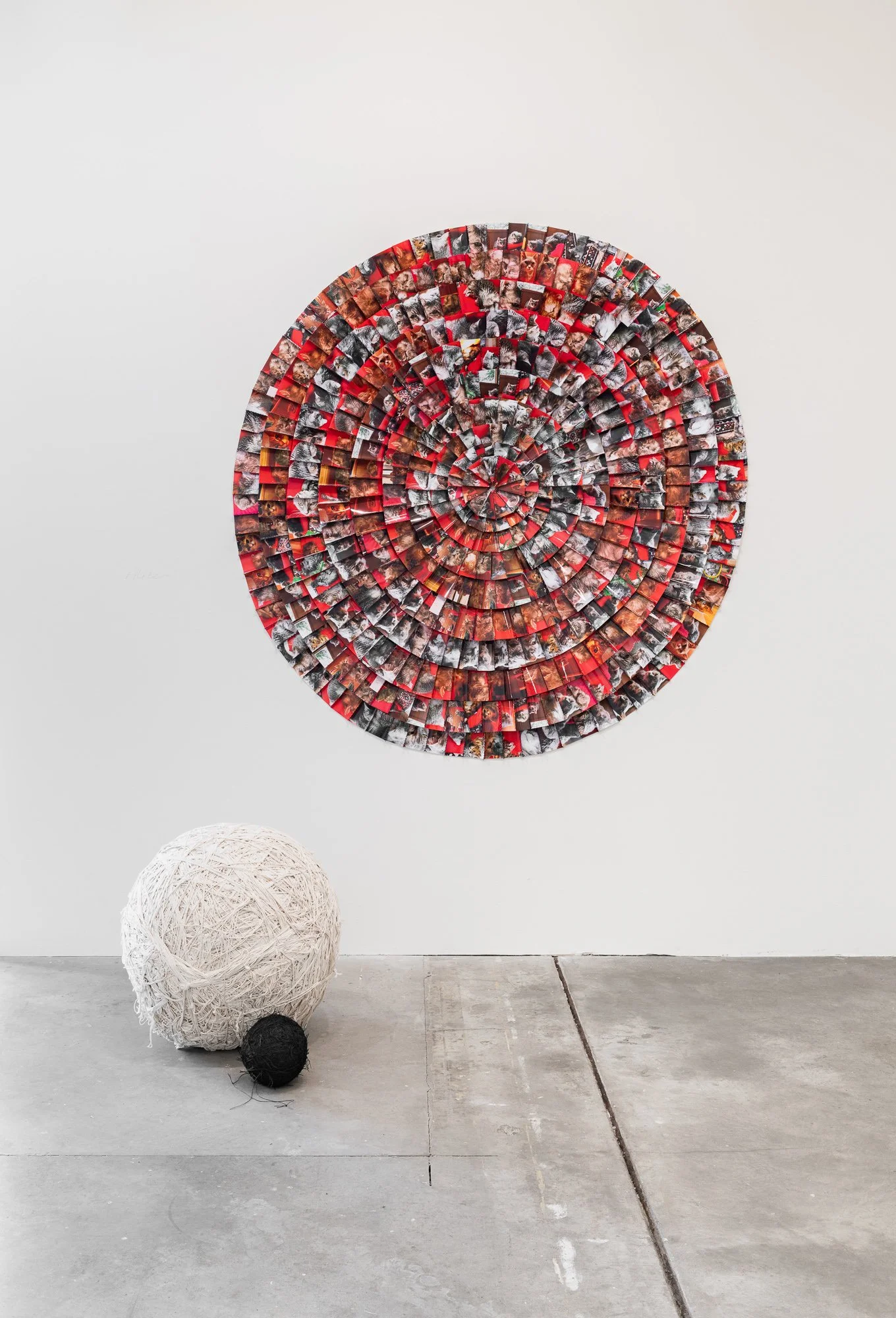 Born REMEMBERING, 2026, exhibition installation view