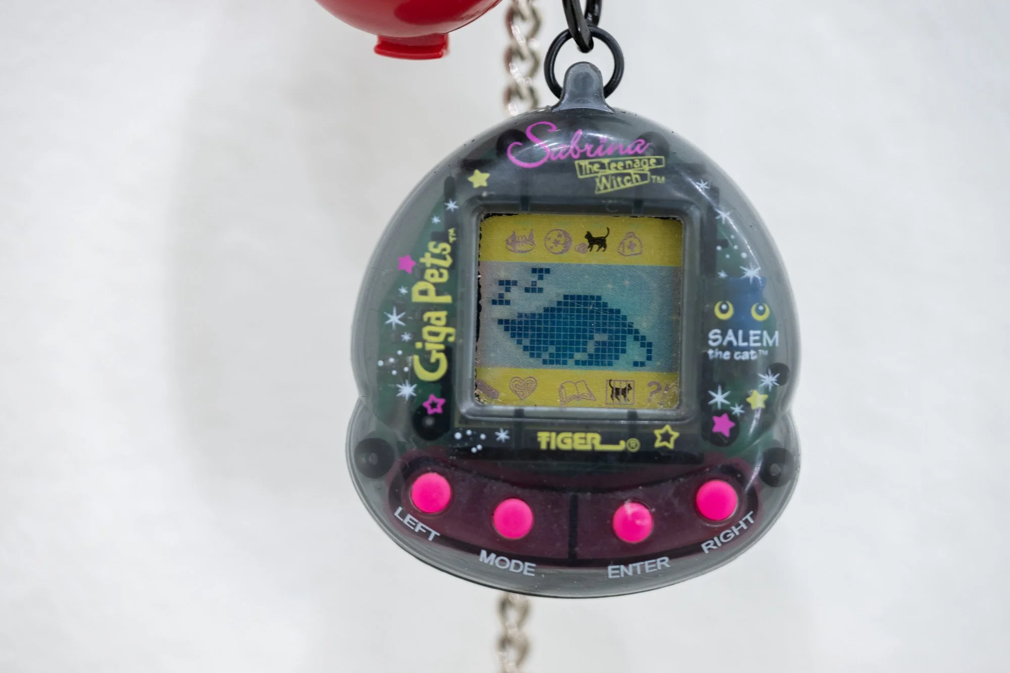 ₍^. .^₎⟆ ~&~ /|\ ^._.^ /|\, 2025, exhibition installation view