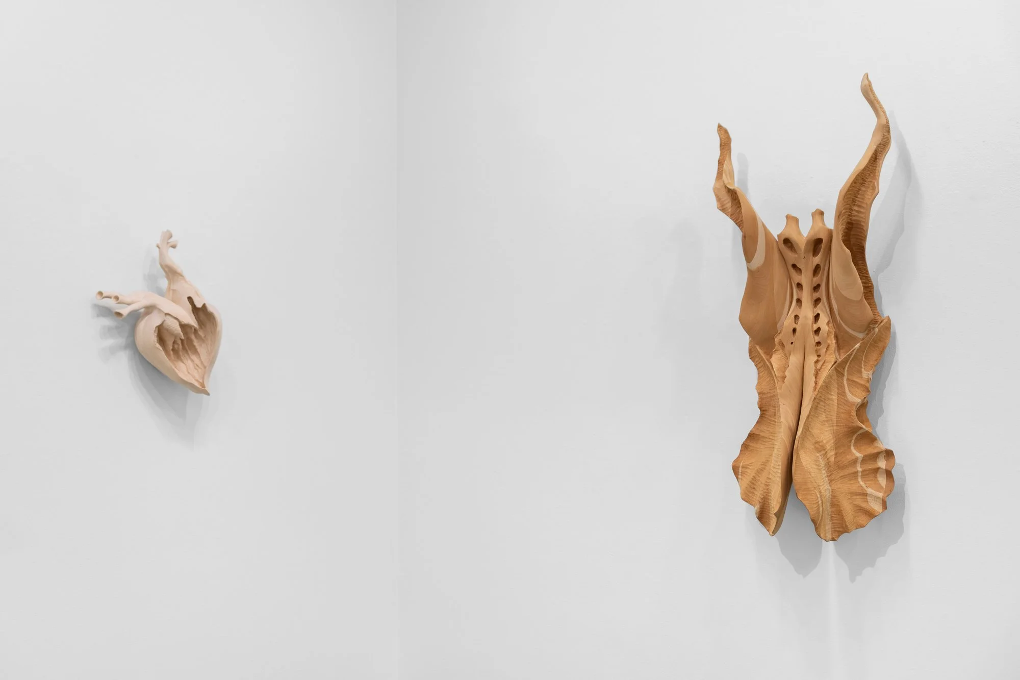 Affinity, 2026, exhibition installation view