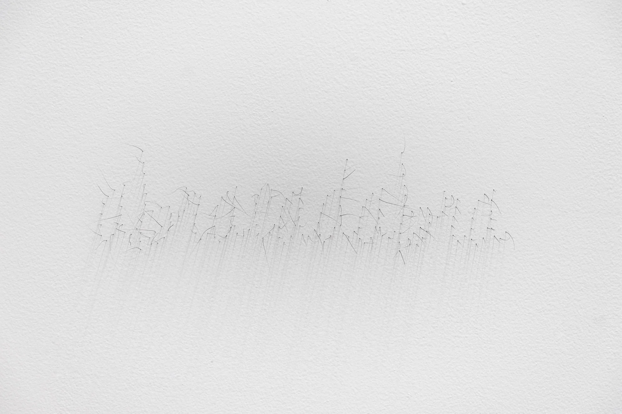 ₍^. .^₎⟆ ~&~ /|\ ^._.^ /|\, 2025, exhibition installation view