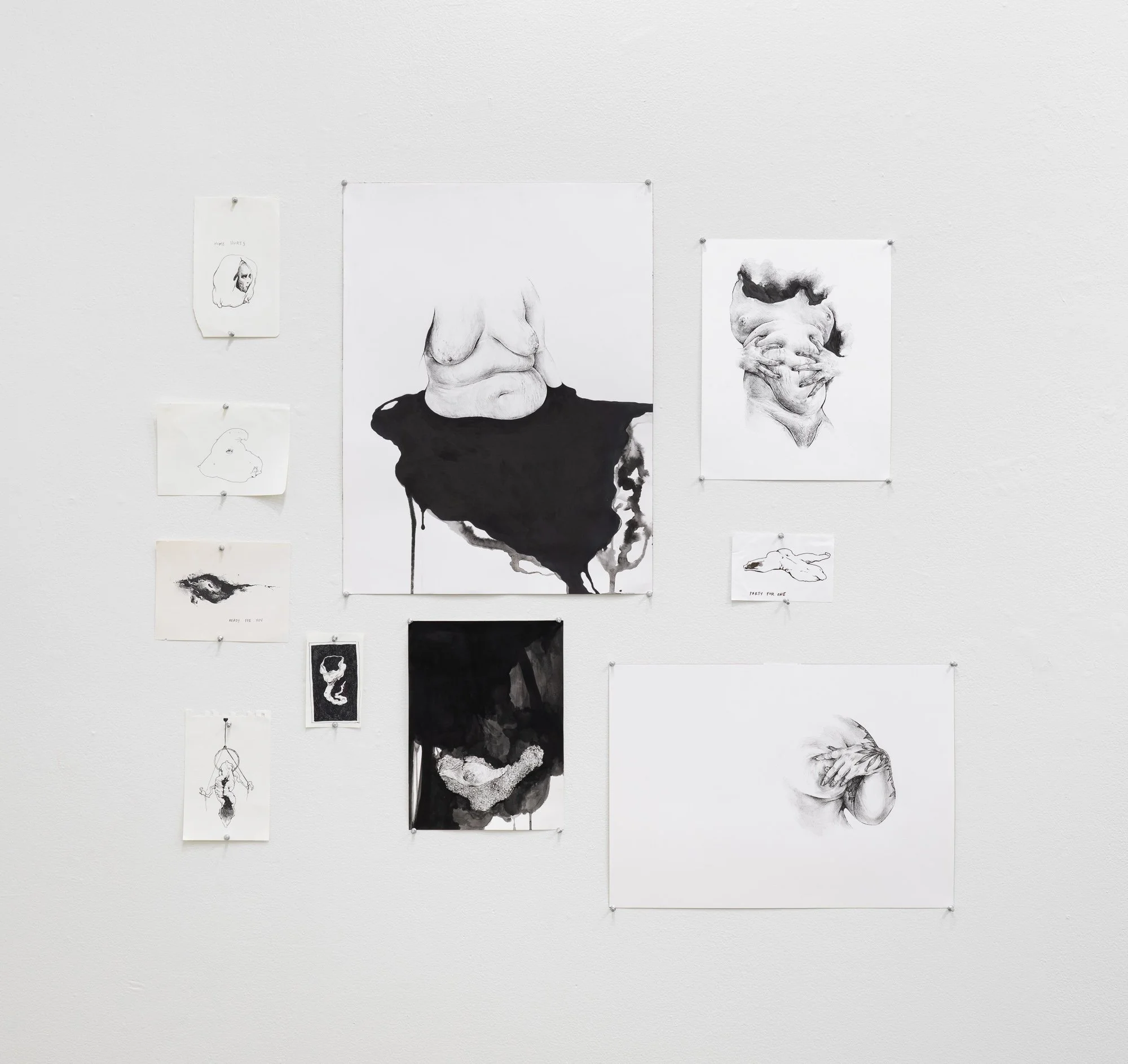 Terroir, 2026, exhibition installation view