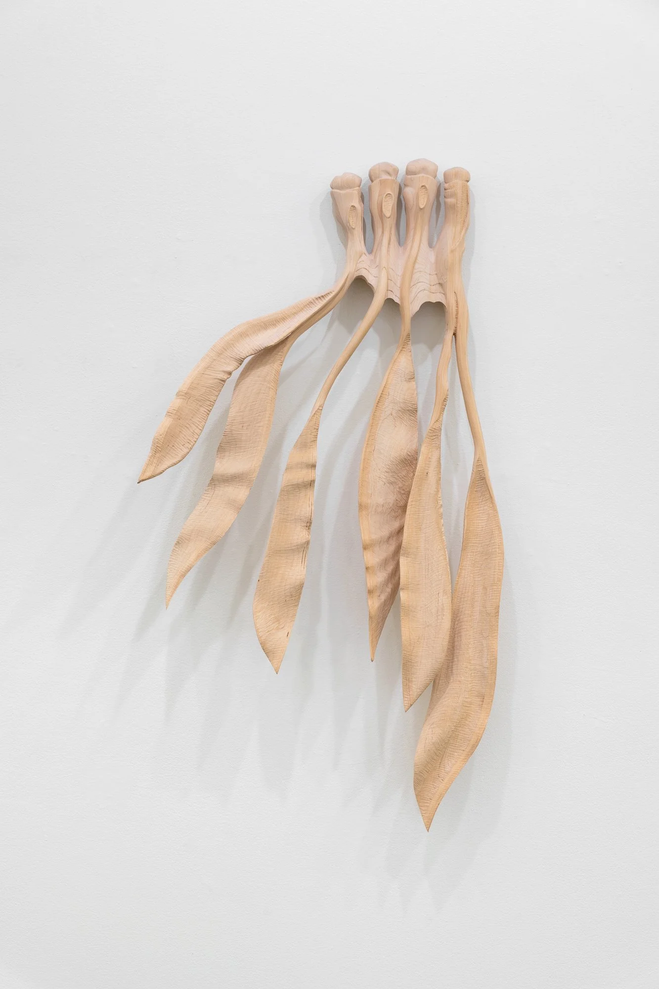 Affinity, 2026, exhibition installation view