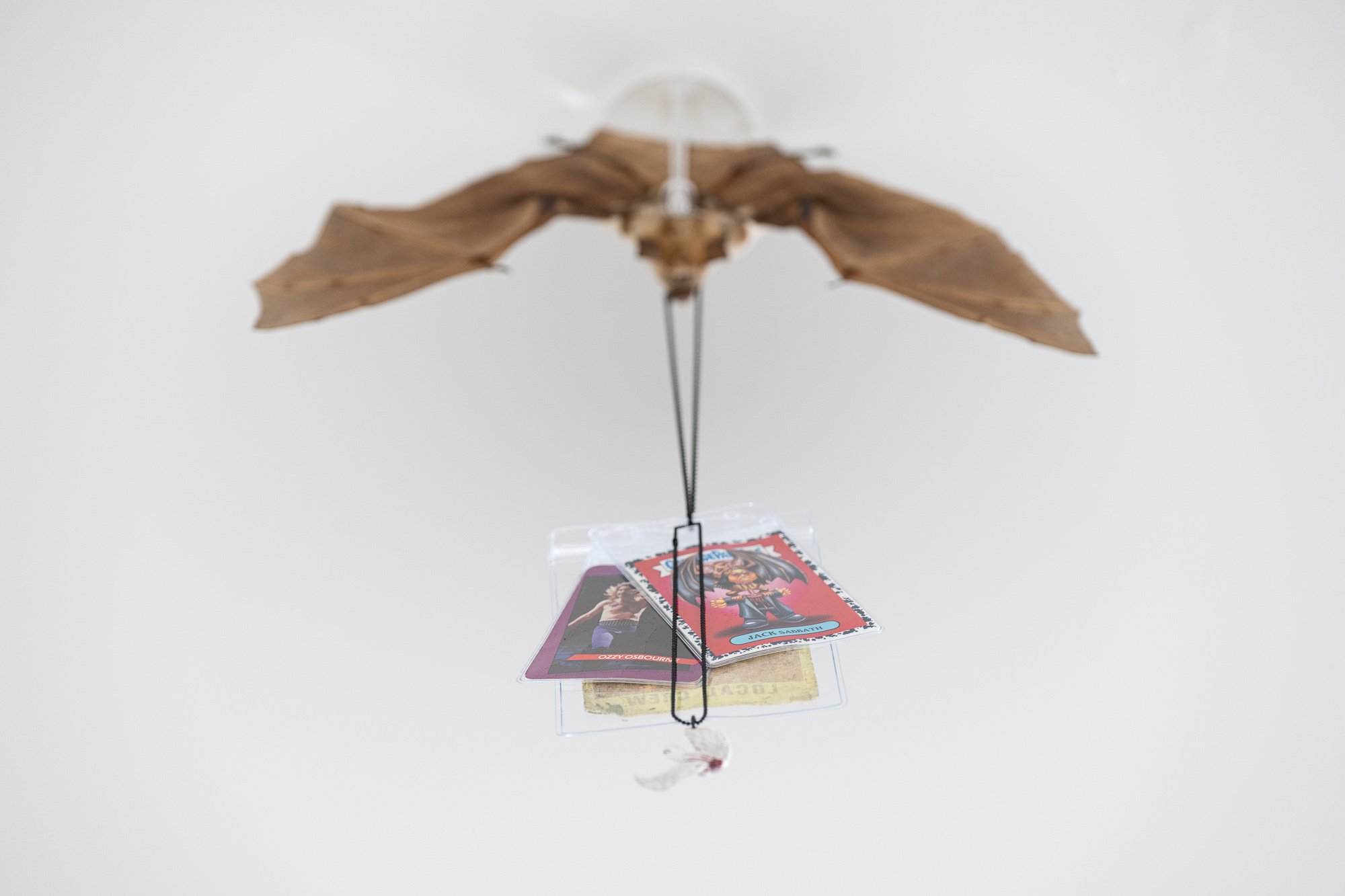 ₍^. .^₎⟆ ~&~ /|\ ^._.^ /|\, 2025, exhibition installation view