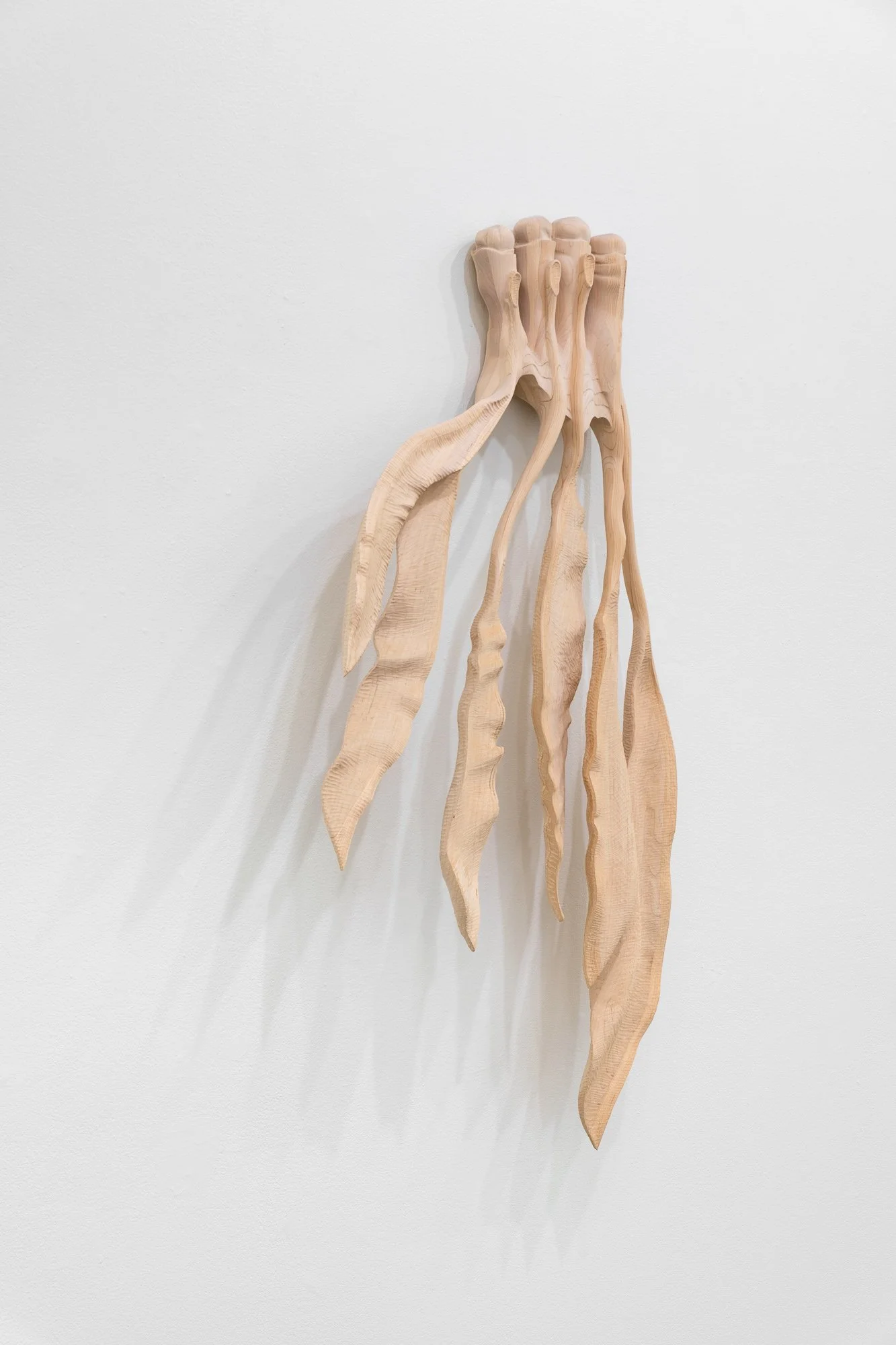 Affinity, 2026, exhibition installation view