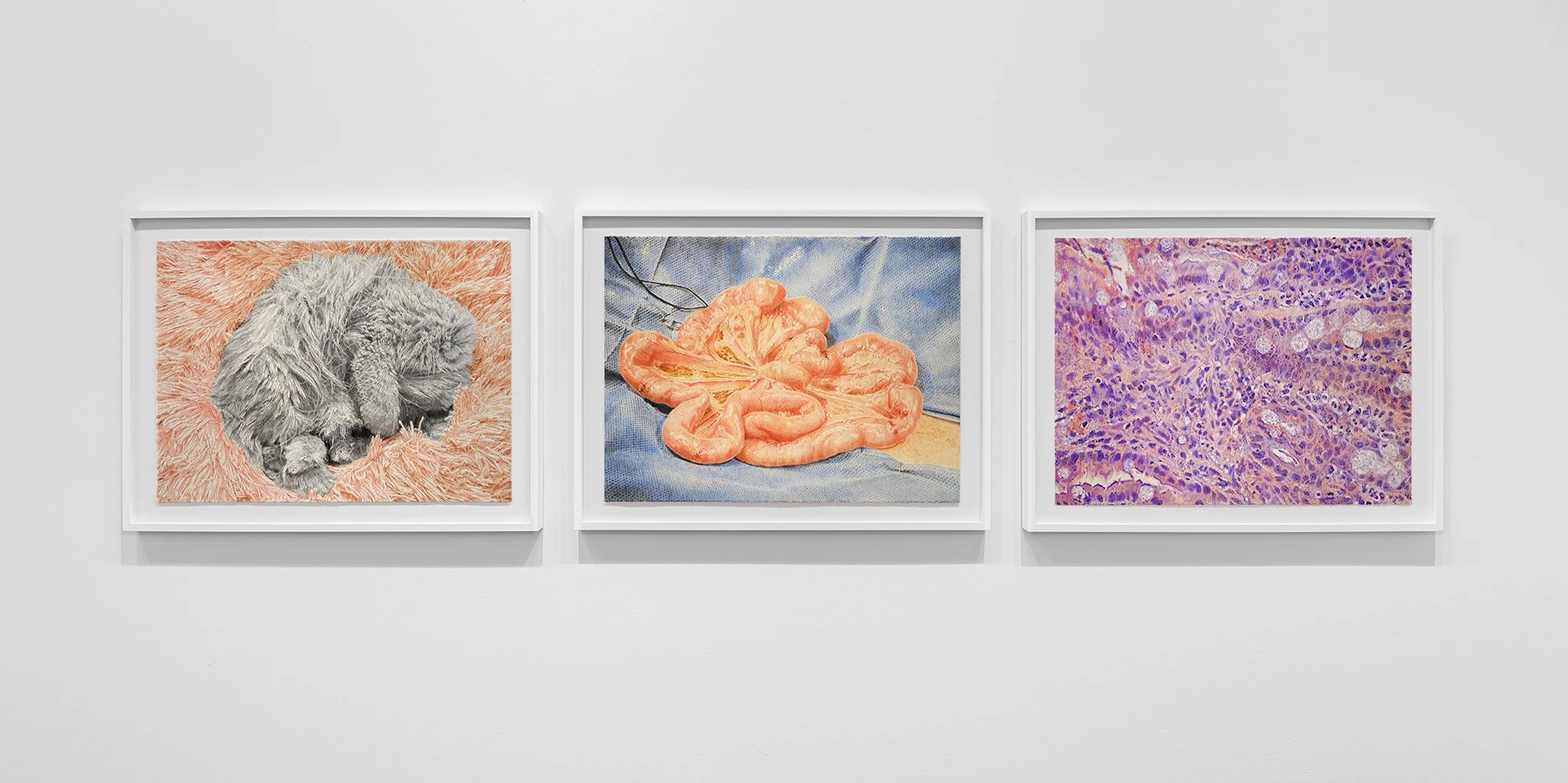 ₍^. .^₎⟆ ~&~ /|\ ^._.^ /|\, 2025, exhibition installation view