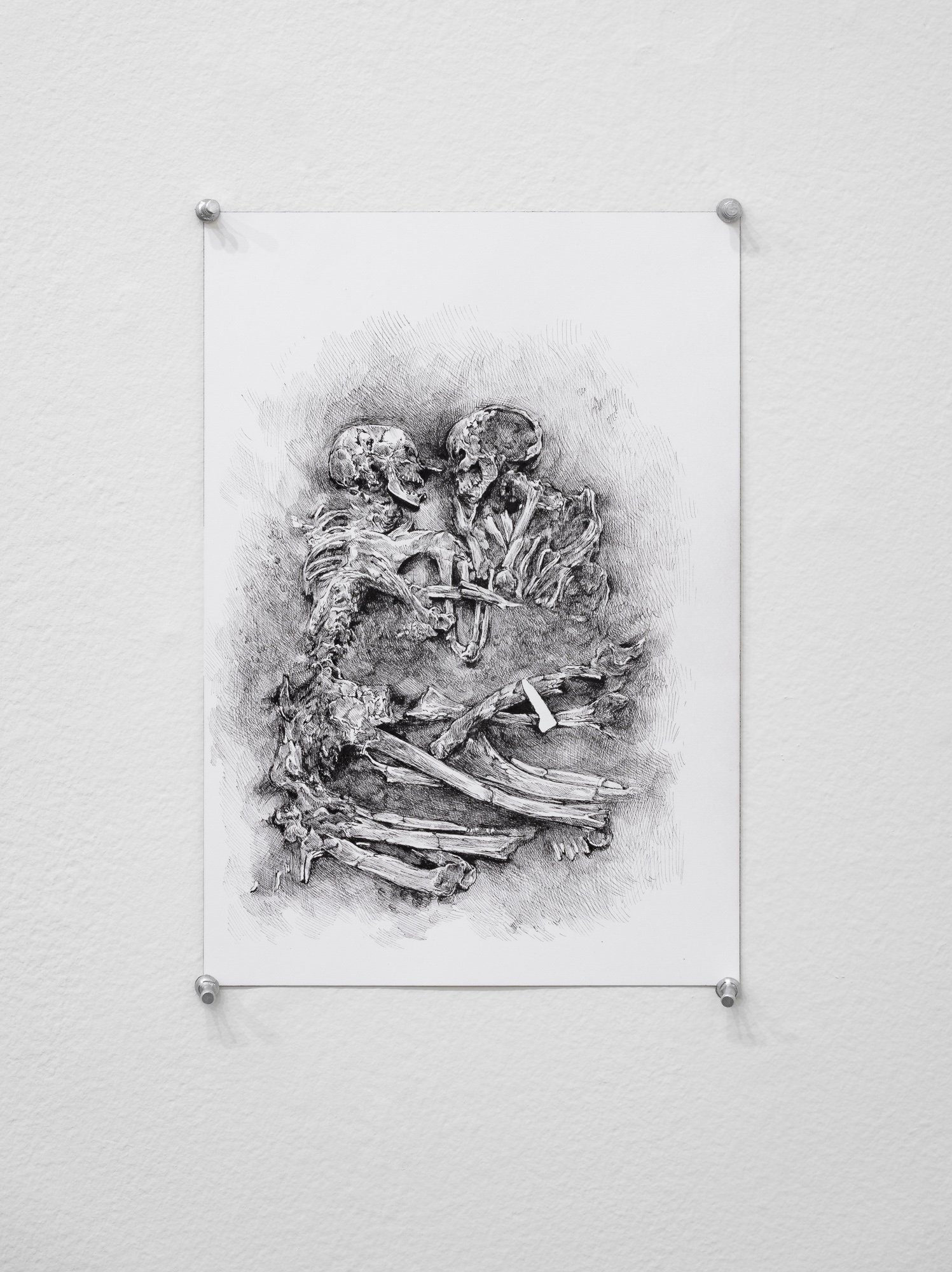 Terroir, 2026, exhibition installation view