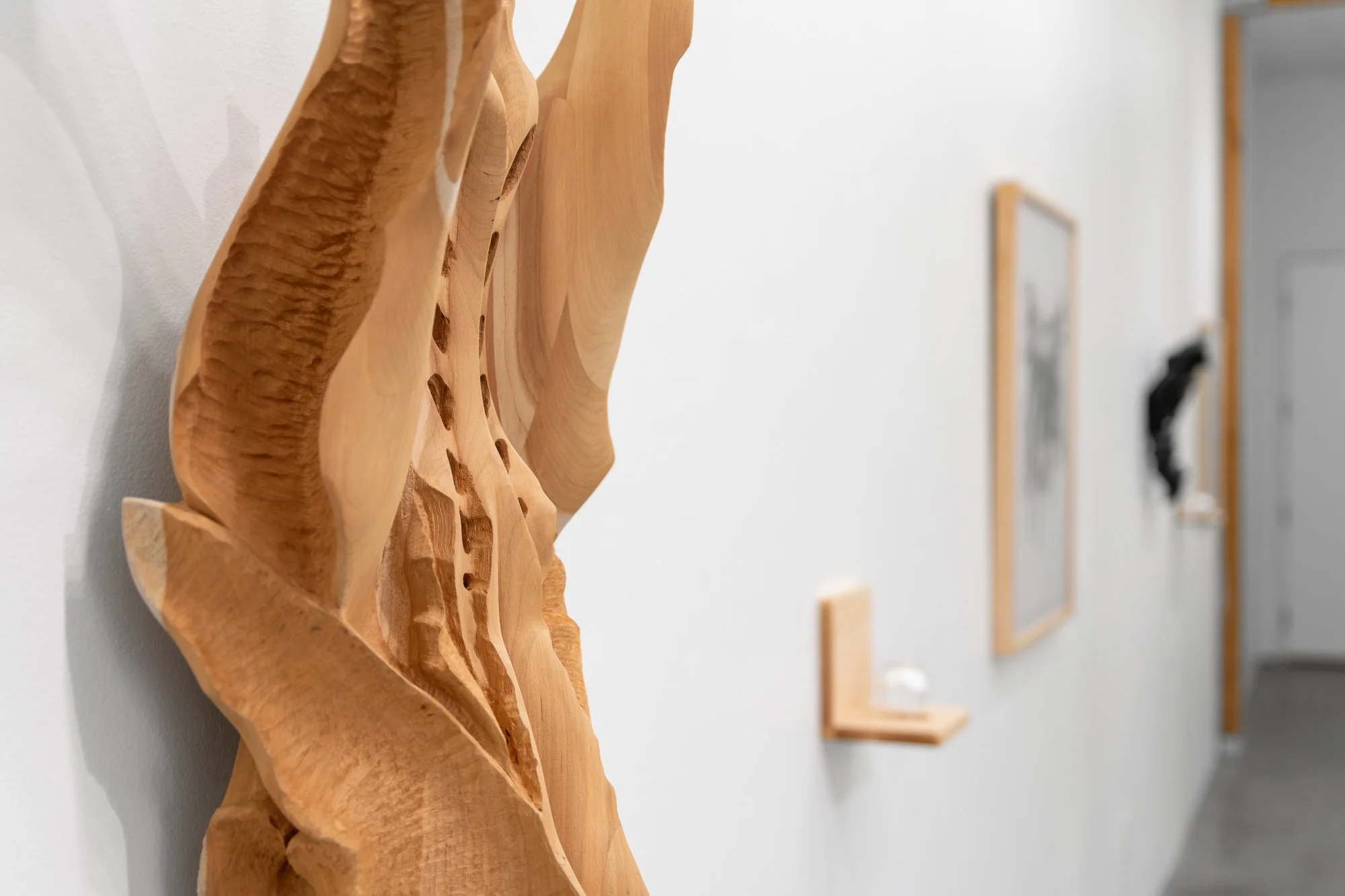 Affinity, 2026, exhibition installation view