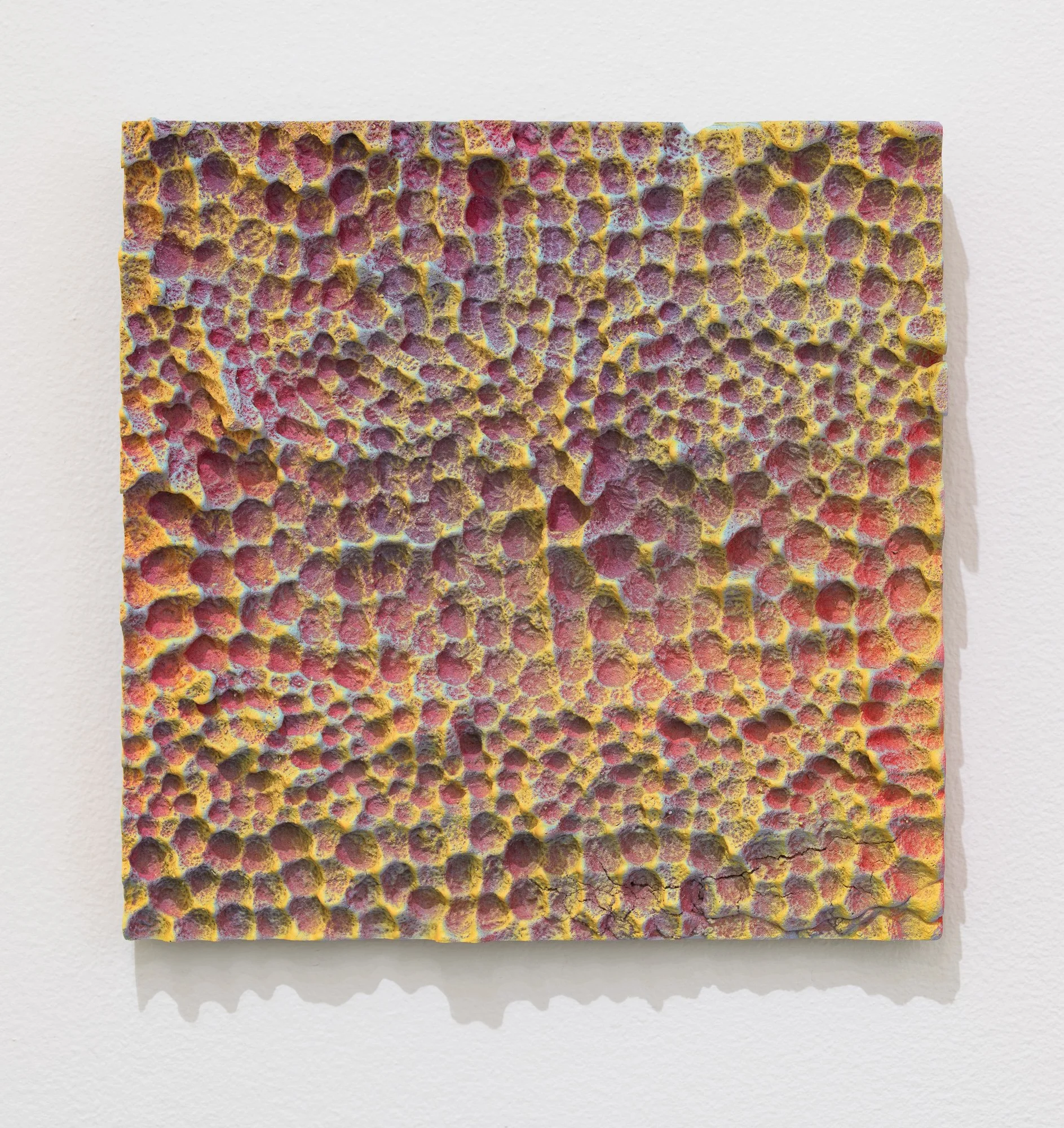 Domestic Topographies, 2026, exhibition installation view