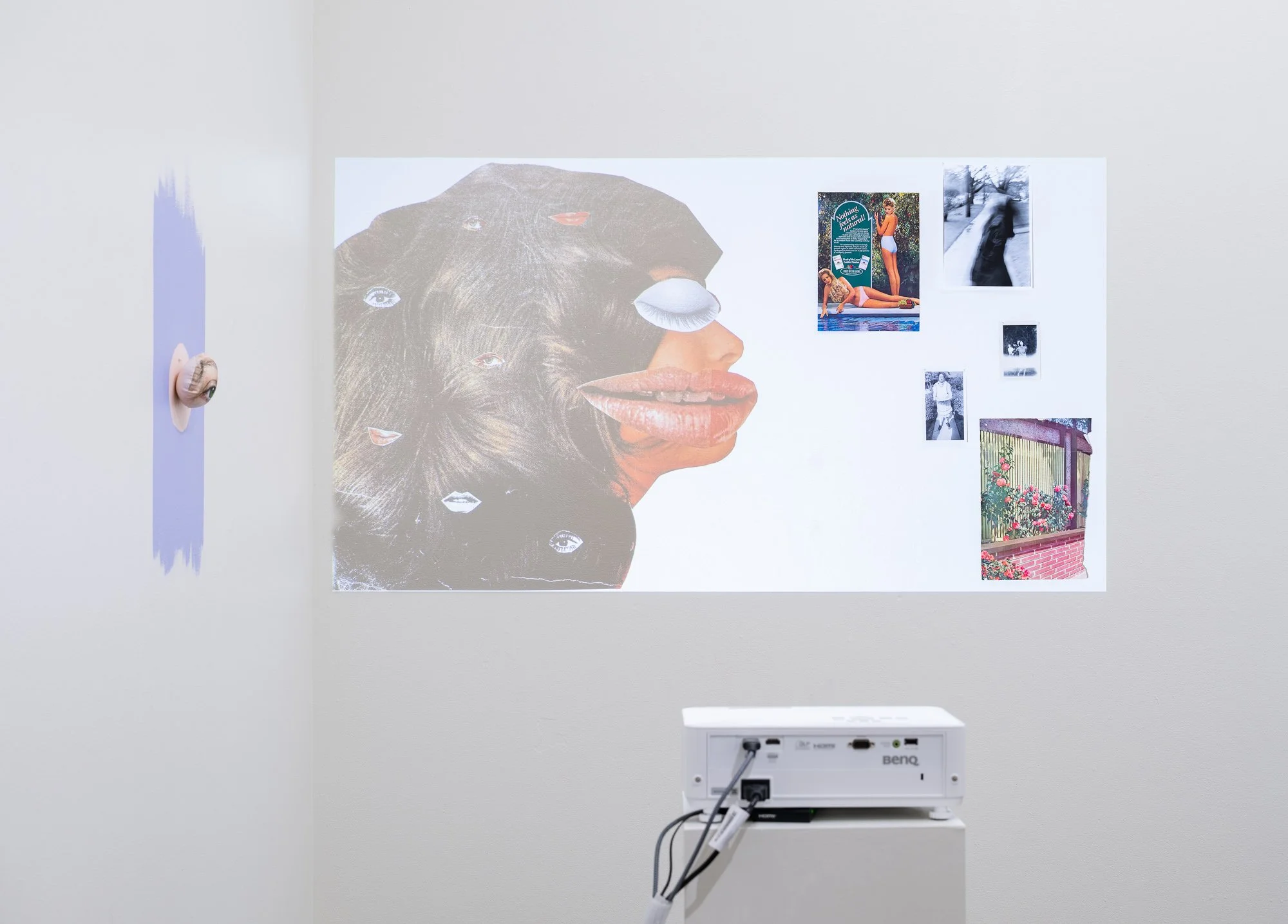 Most Nearly Perfect Ham, 2026, exhibition installation view