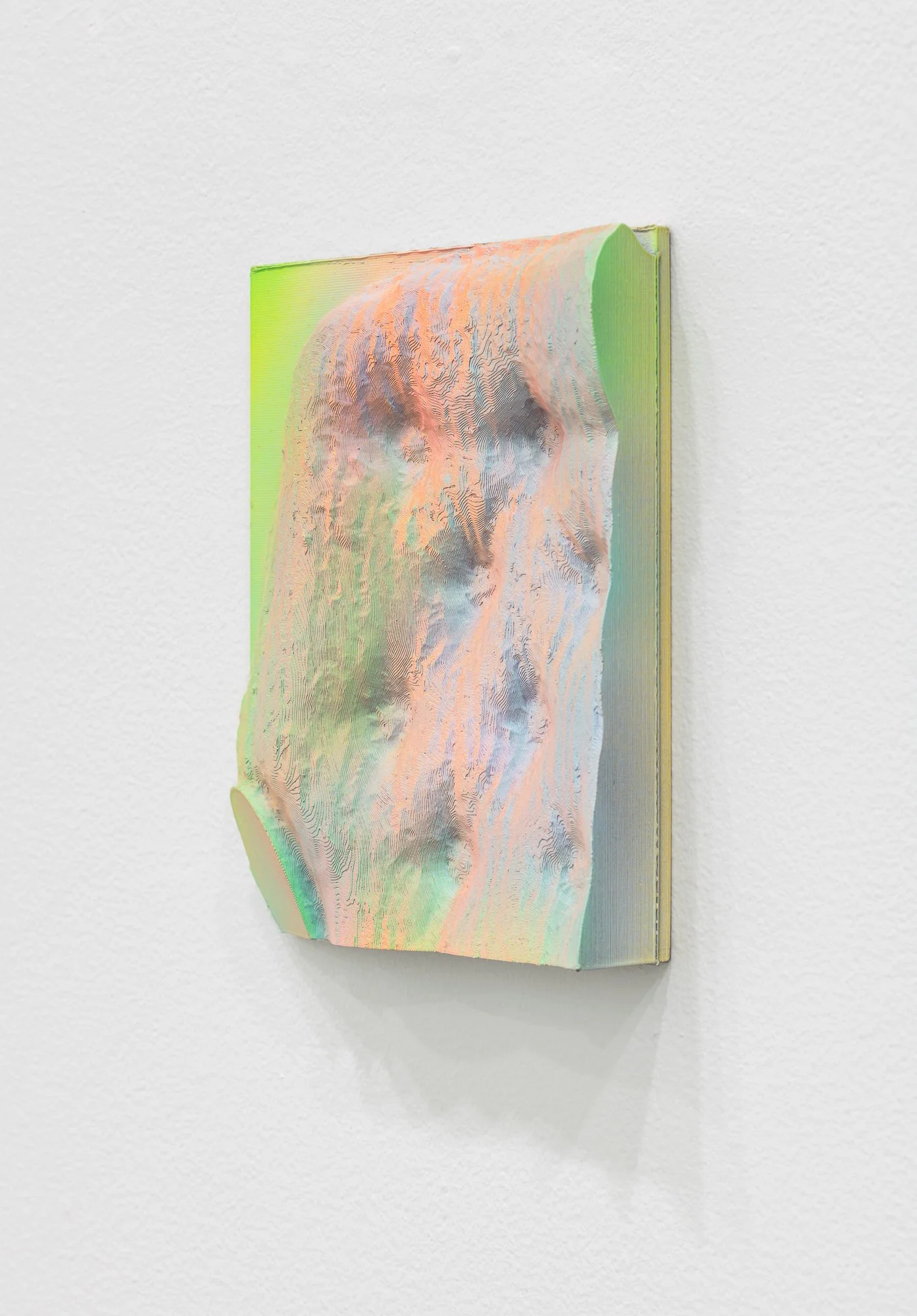 Domestic Topographies, 2026, exhibition installation view