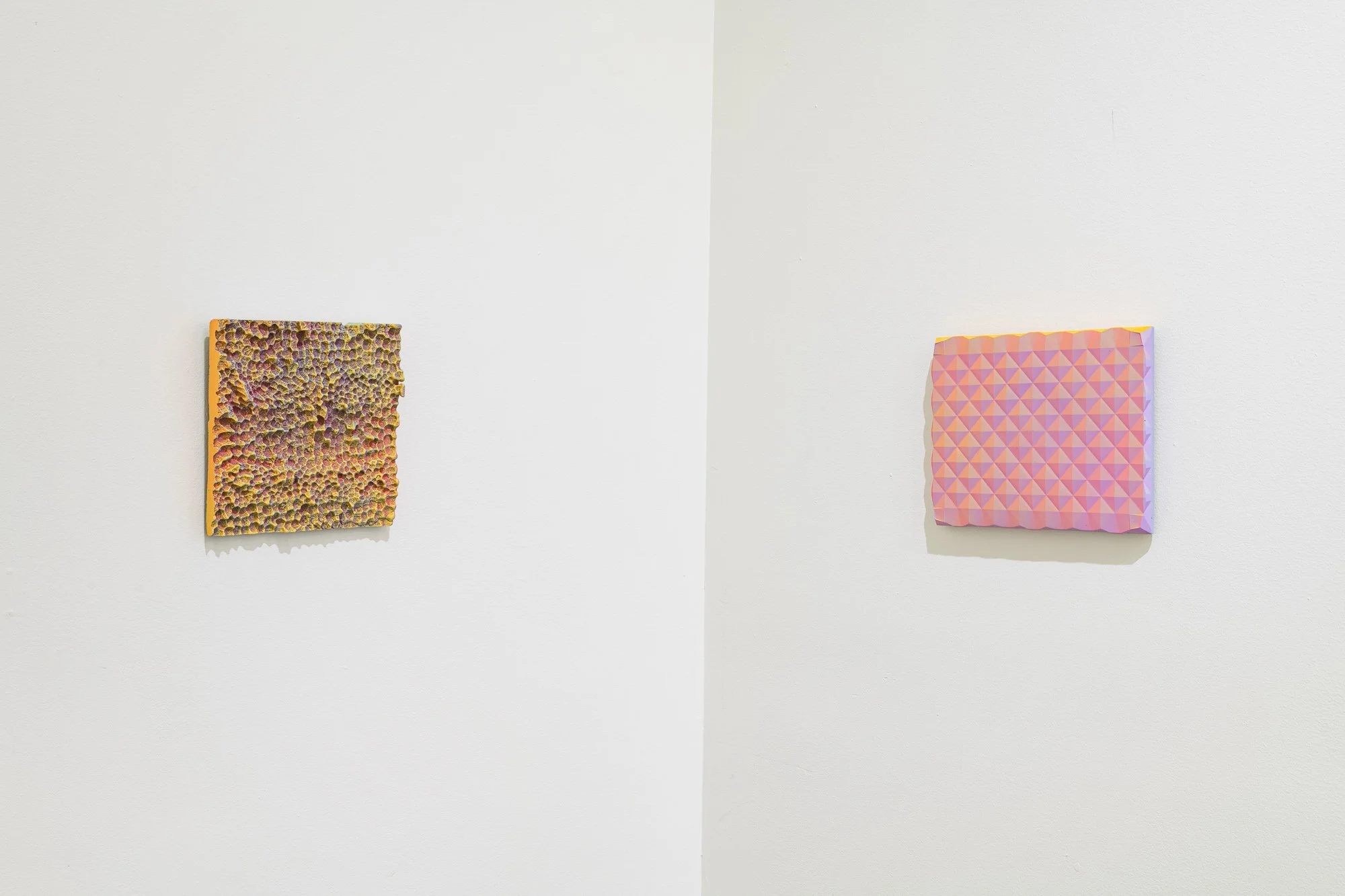 Domestic Topographies, 2026, exhibition installation view