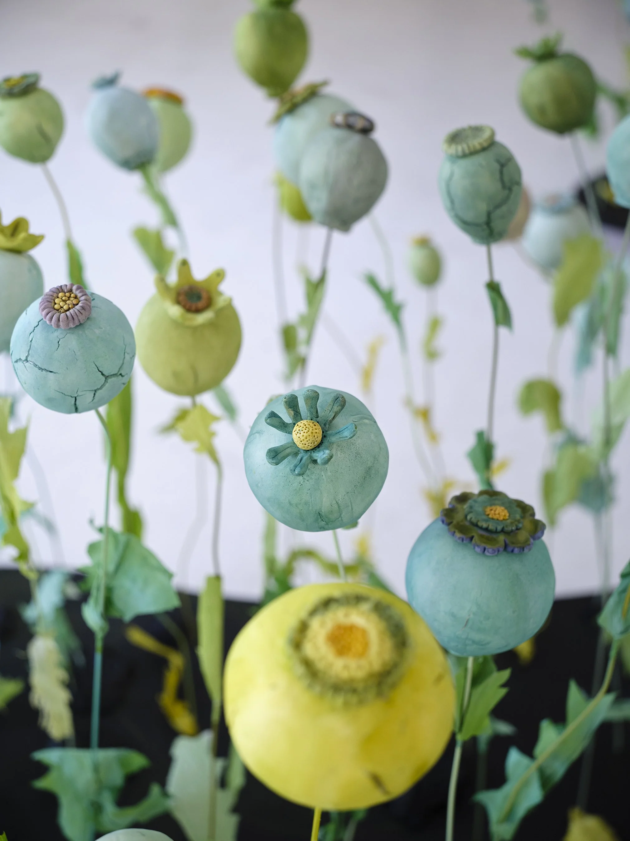 Poppy Pods Detail(1).jpg