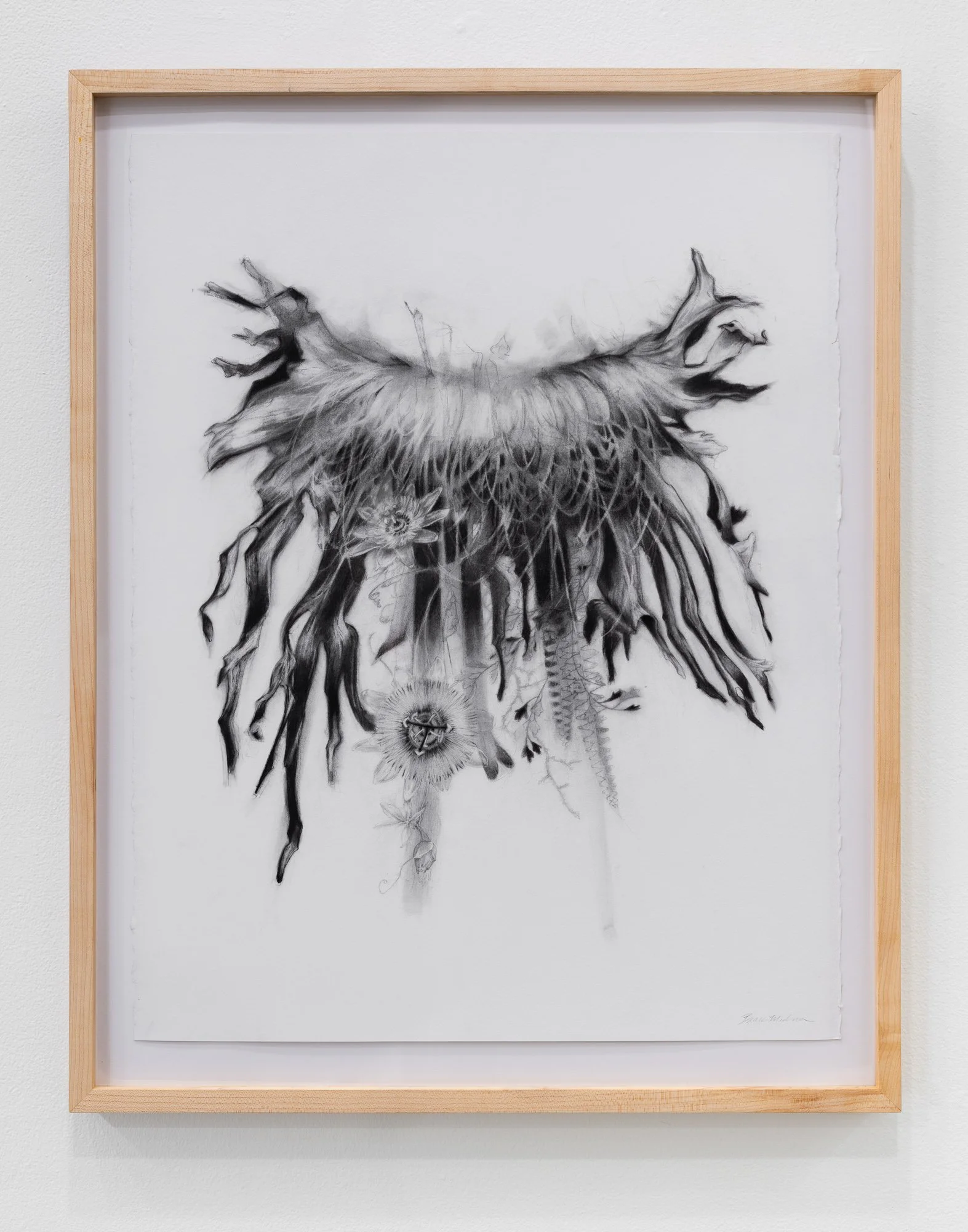 Affinity, 2026, exhibition installation view