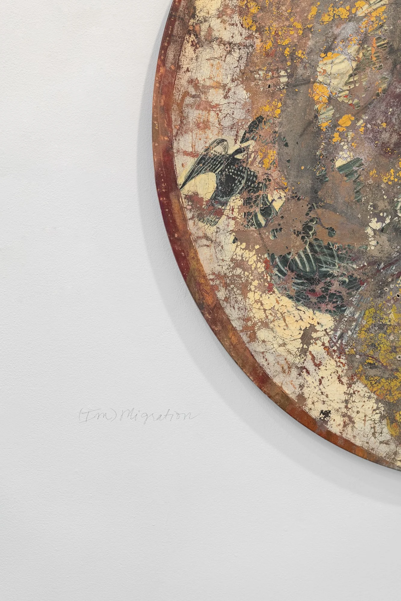 Born REMEMBERING, 2026, exhibition installation view