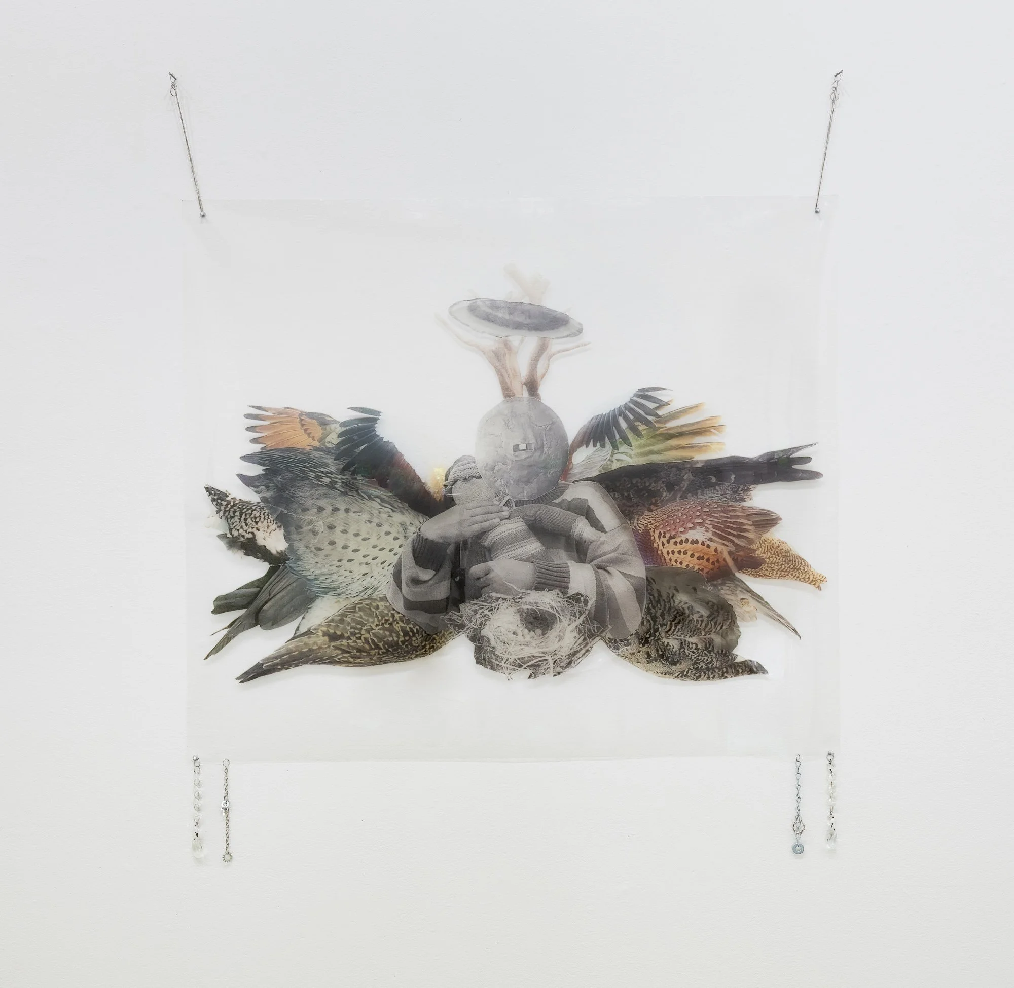 Terroir, 2026, exhibition installation view