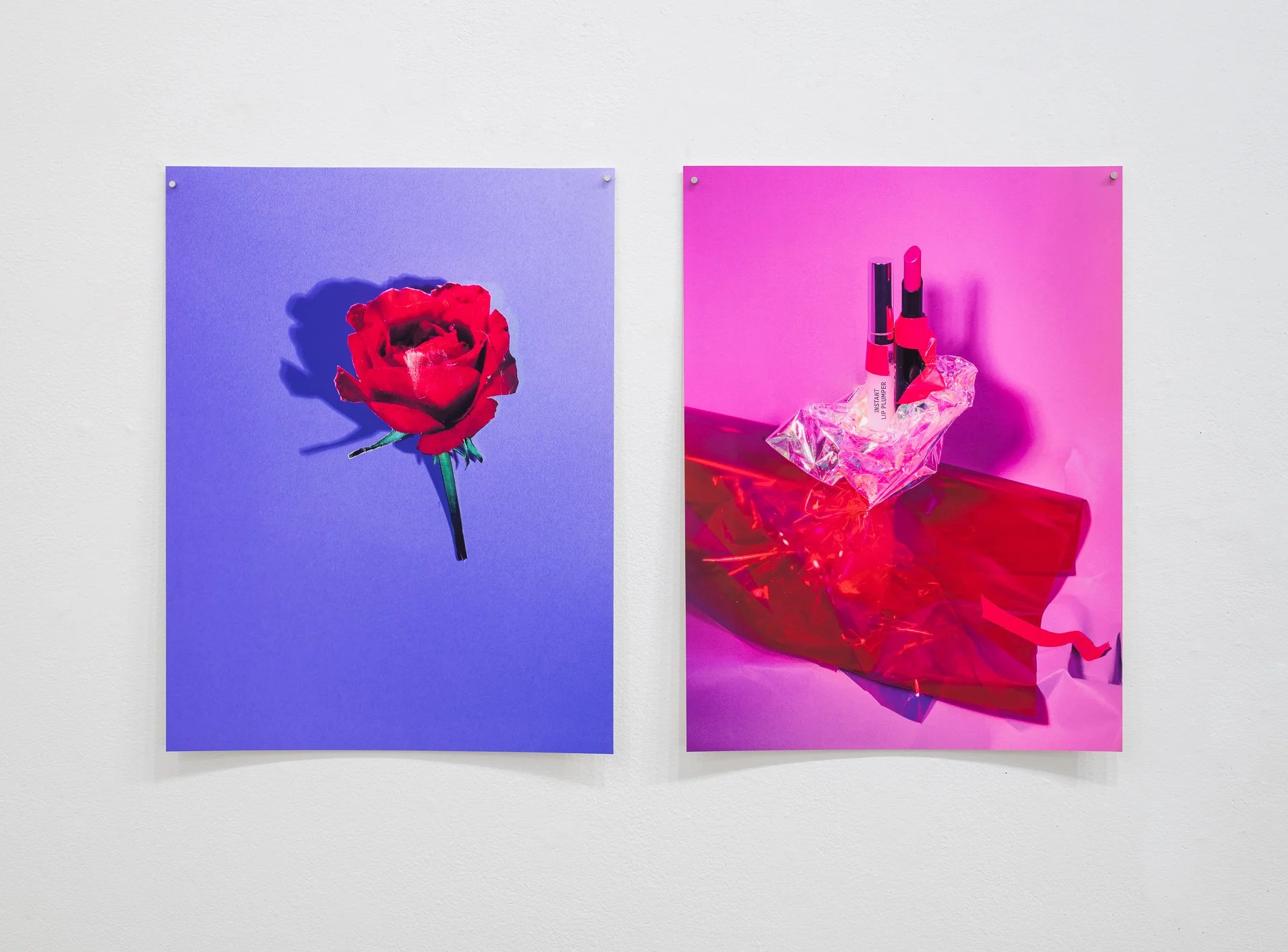 Most Nearly Perfect Ham, 2026, exhibition installation view
