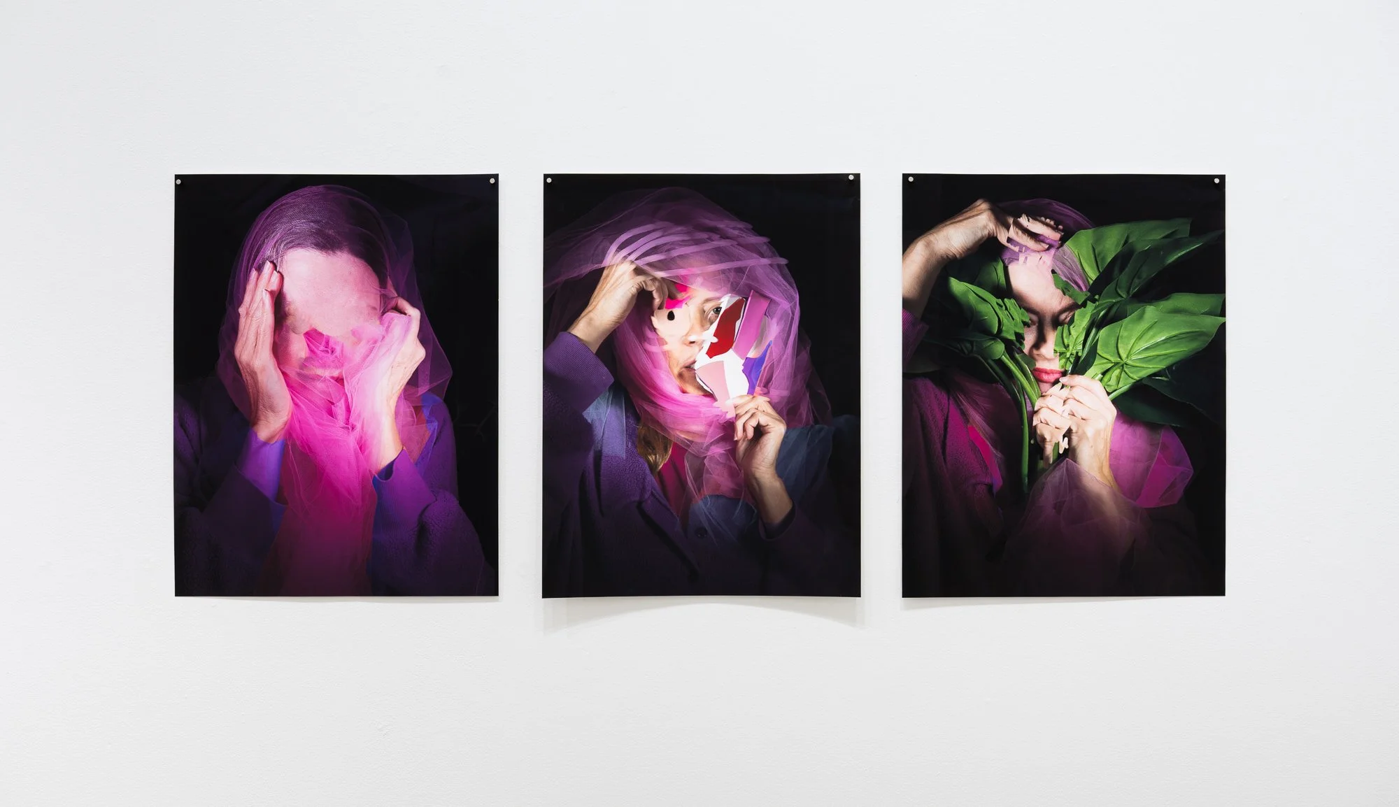 Most Nearly Perfect Ham, 2026, exhibition installation view