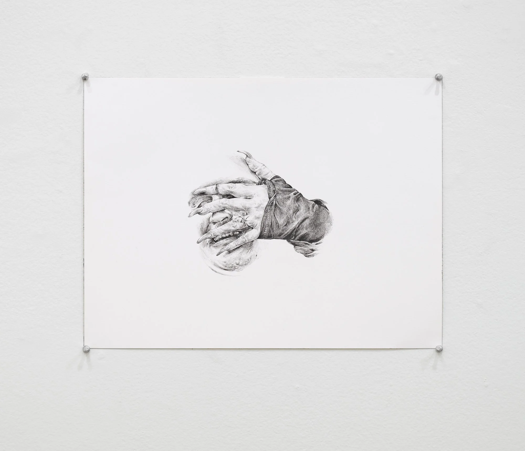 Terroir, 2026, exhibition installation view