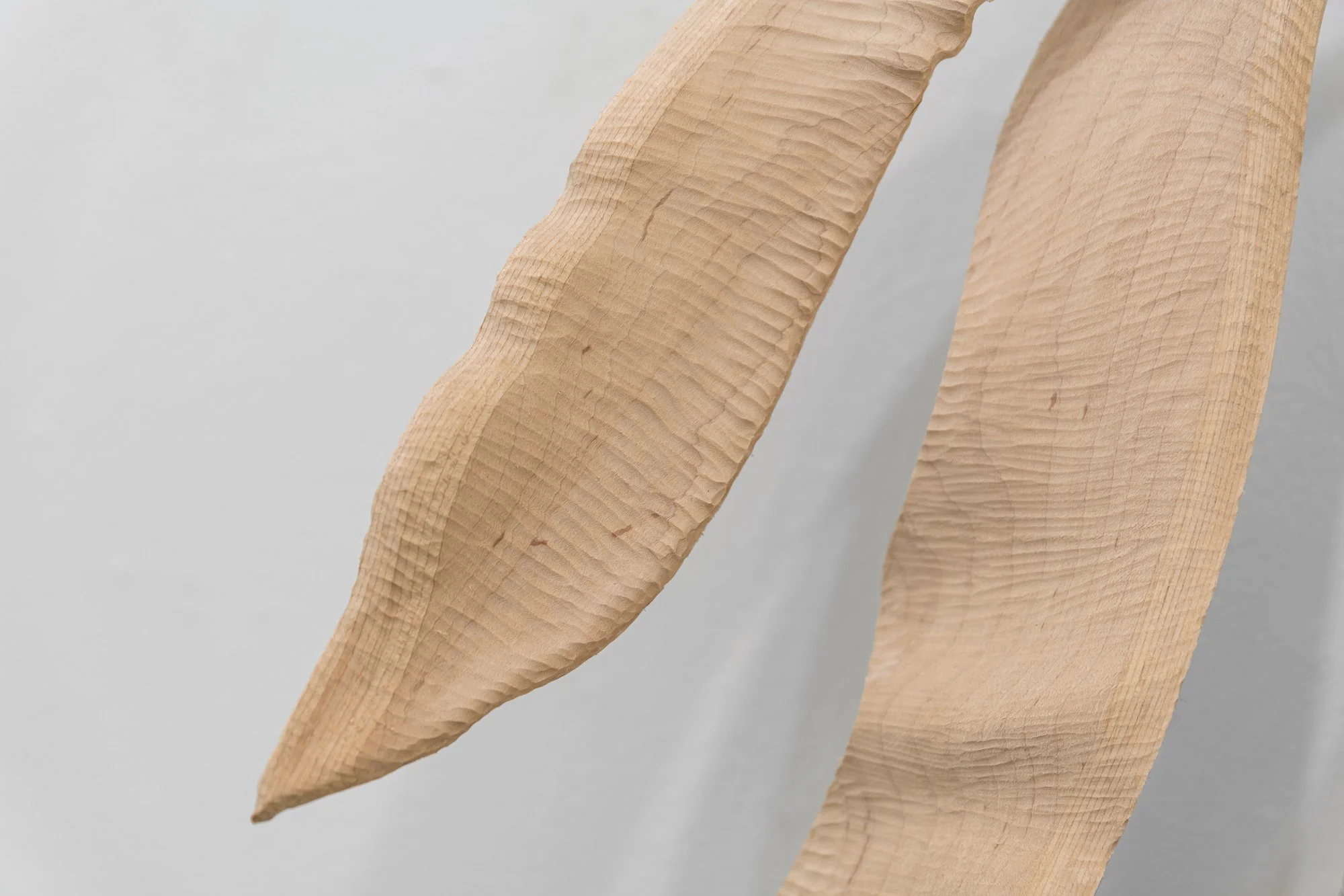 Affinity, 2026, exhibition installation view