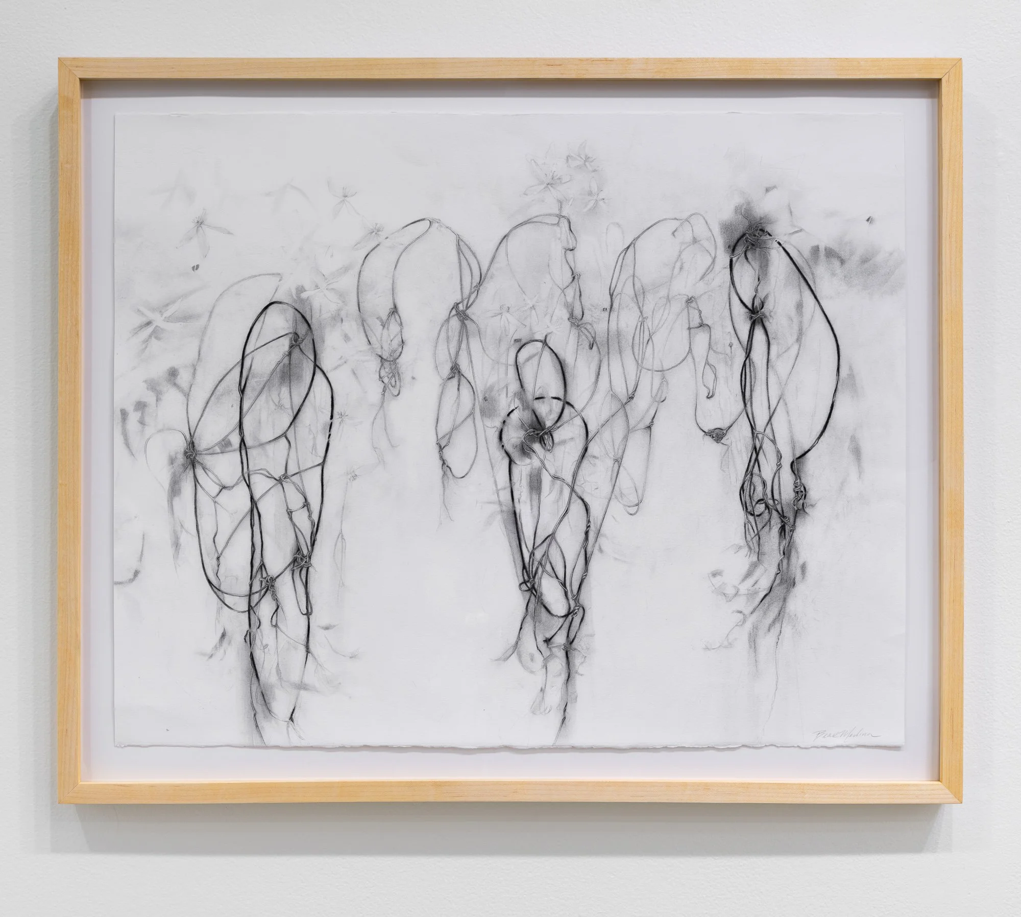 Affinity, 2026, exhibition installation view