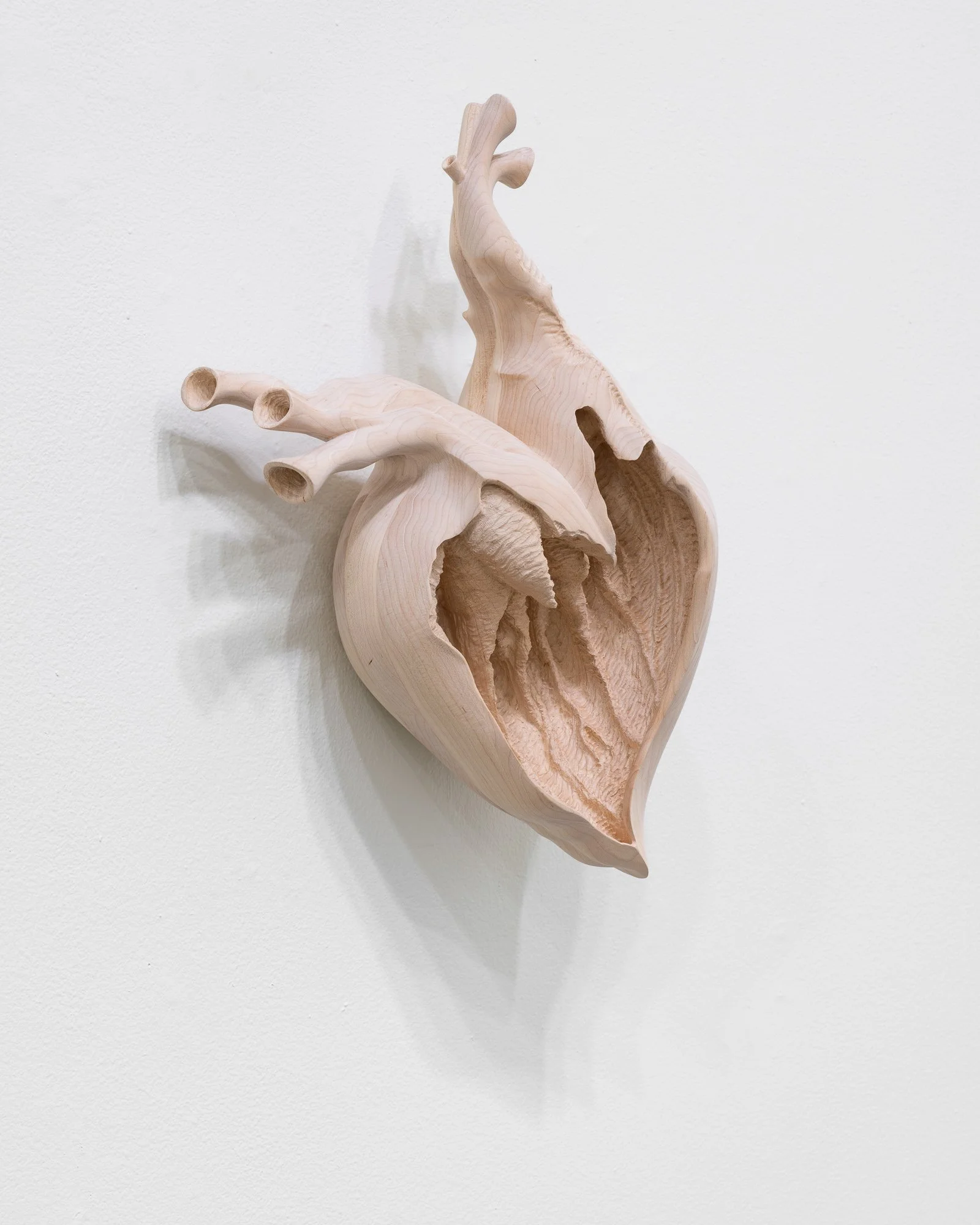 Affinity, 2026, exhibition installation view