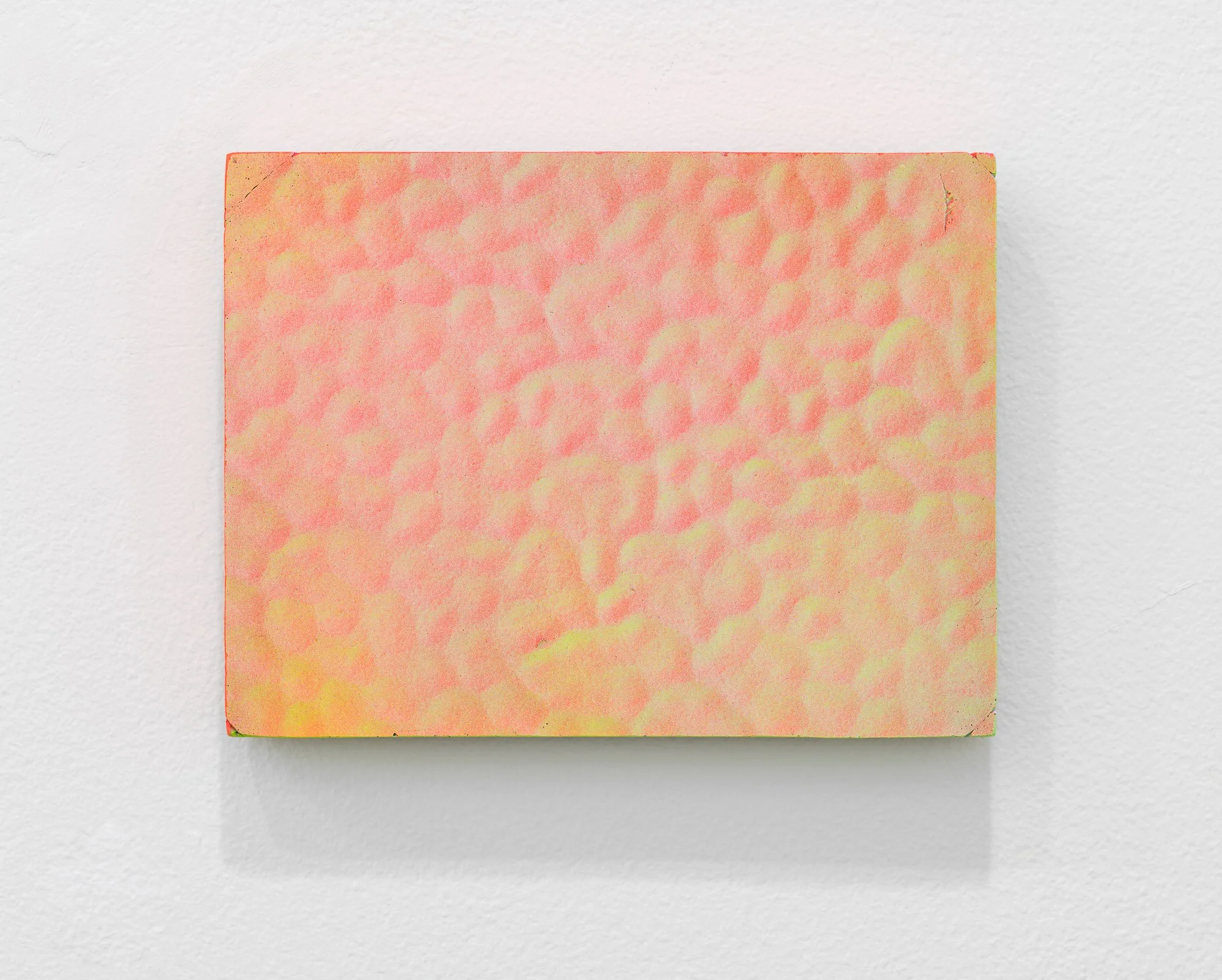 Domestic Topographies, 2026, exhibition installation view