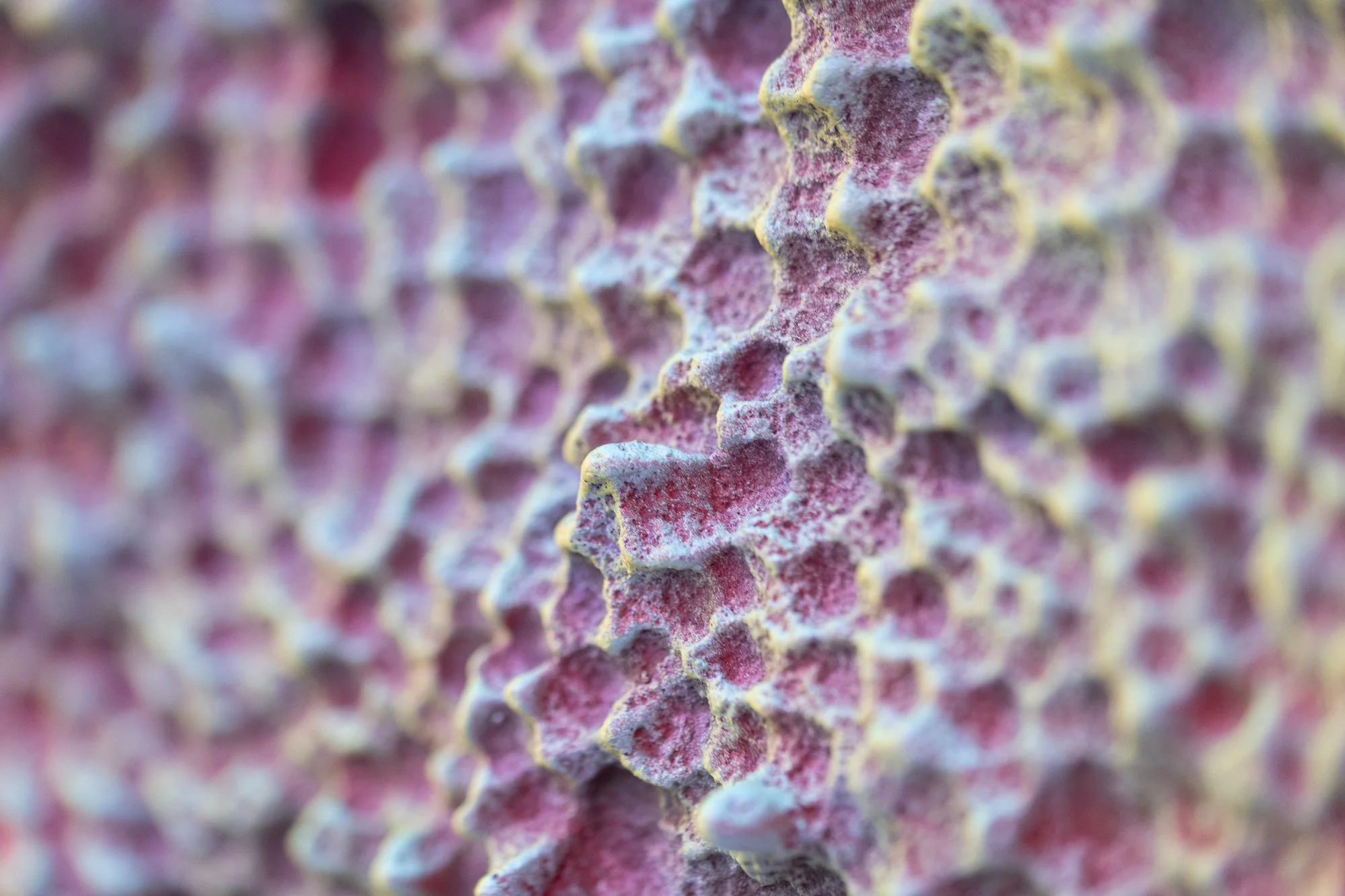 Domestic Topographies, 2026, exhibition installation view