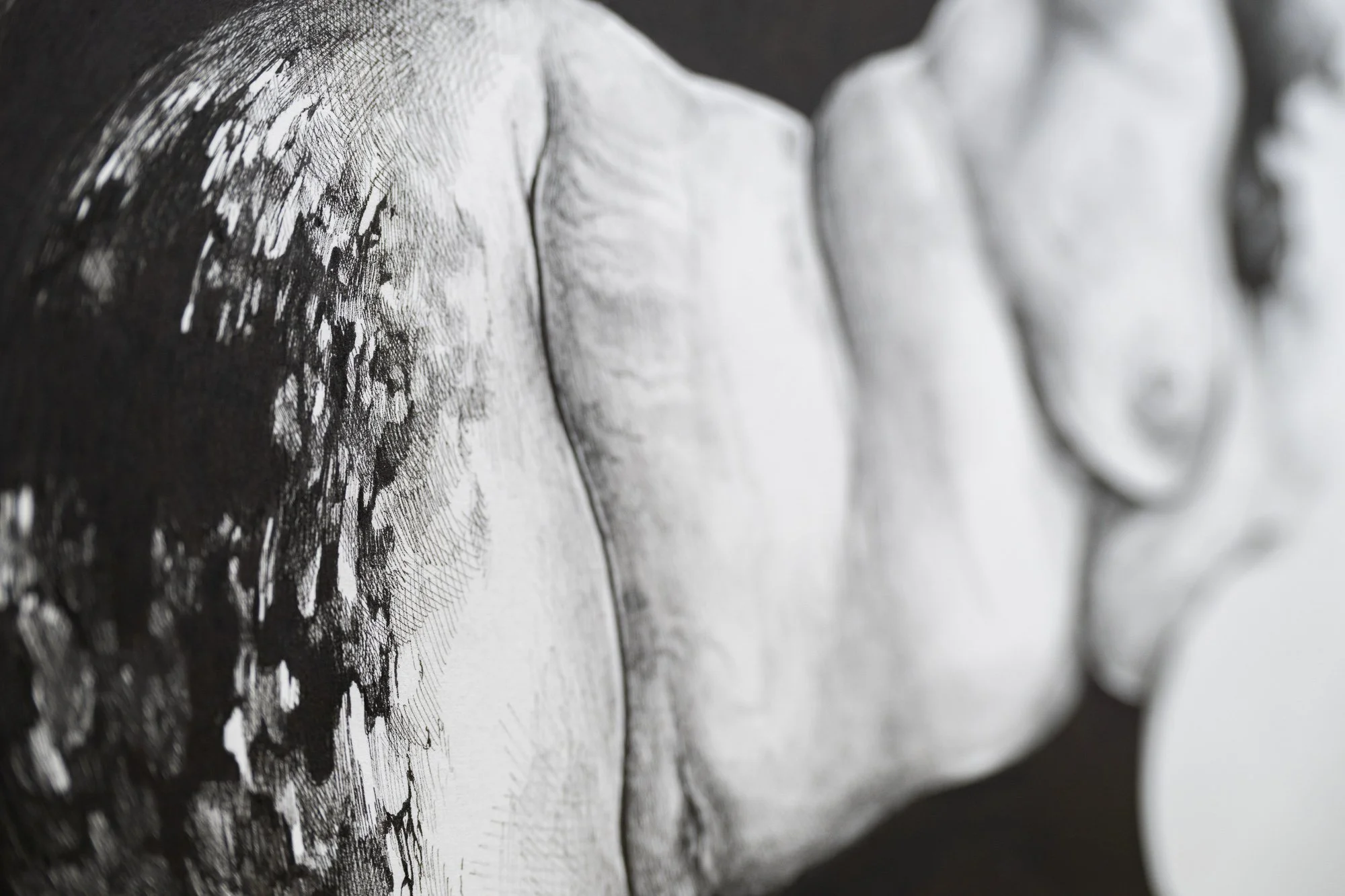 Terroir, 2026, exhibition installation view