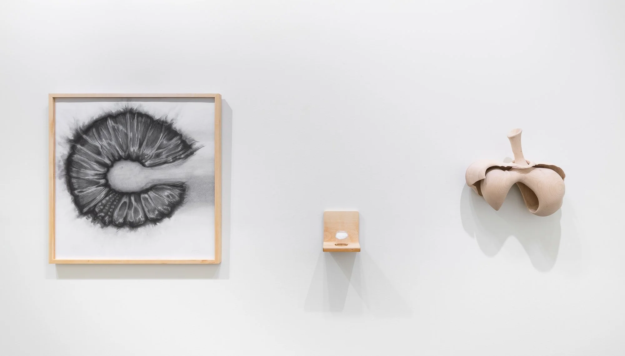 Affinity, 2026, exhibition installation view