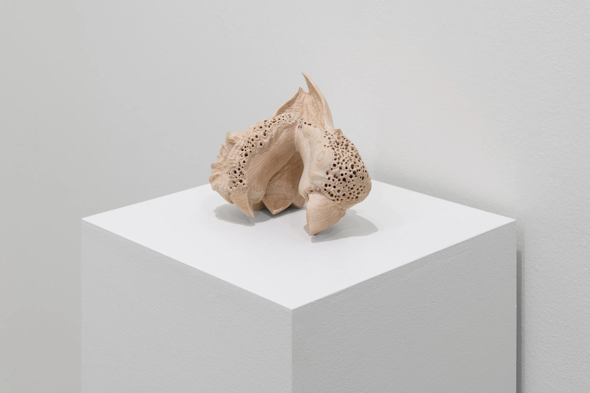 Affinity, 2026, exhibition installation view