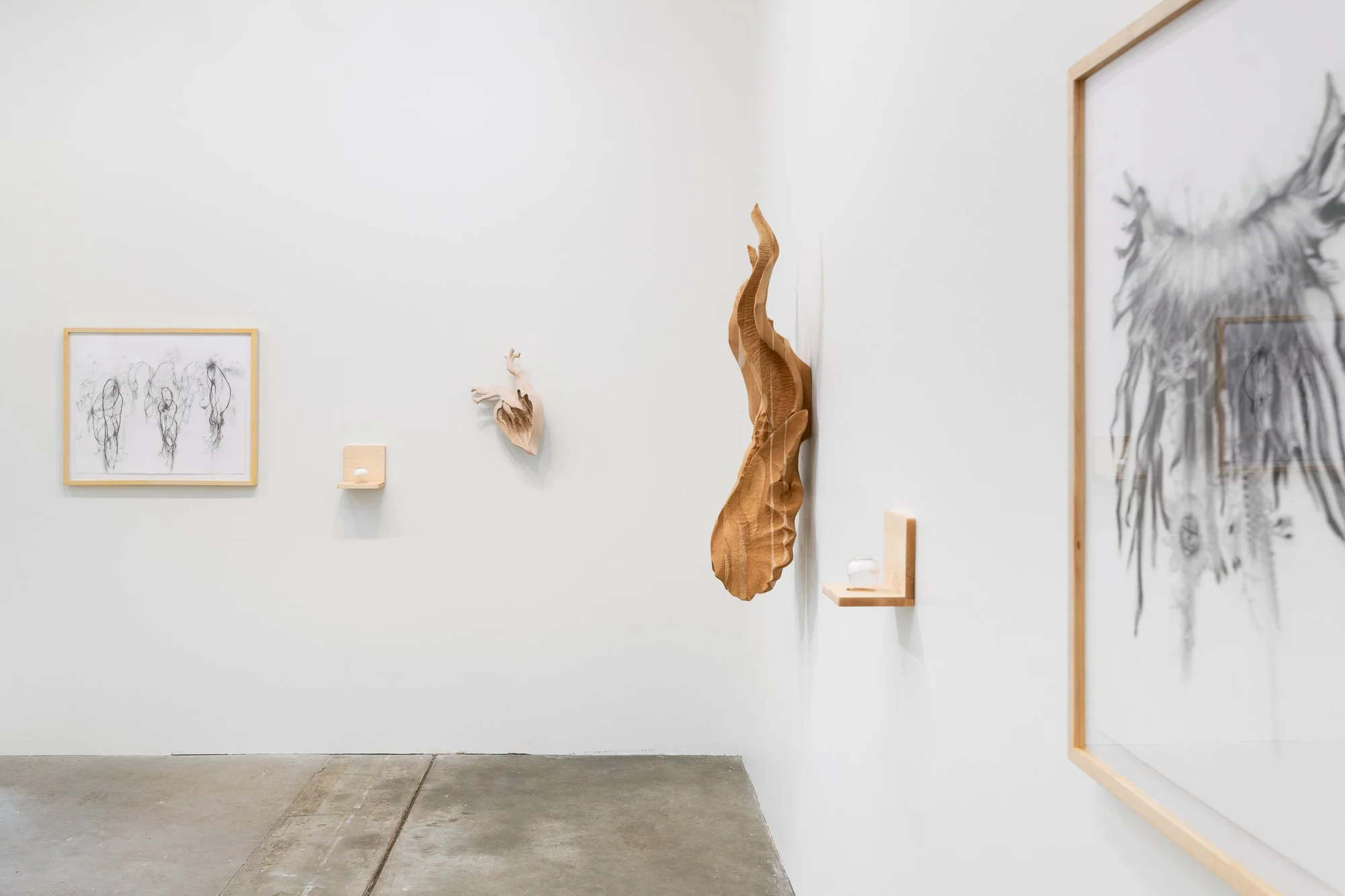 Affinity, 2026, exhibition installation view